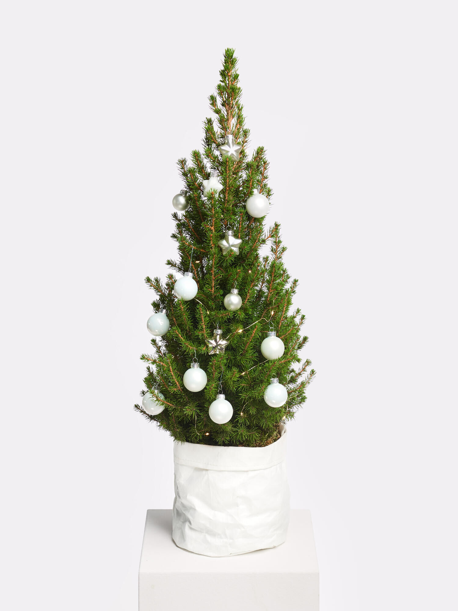 Weihnachtsglanz Weihnachtsglanz