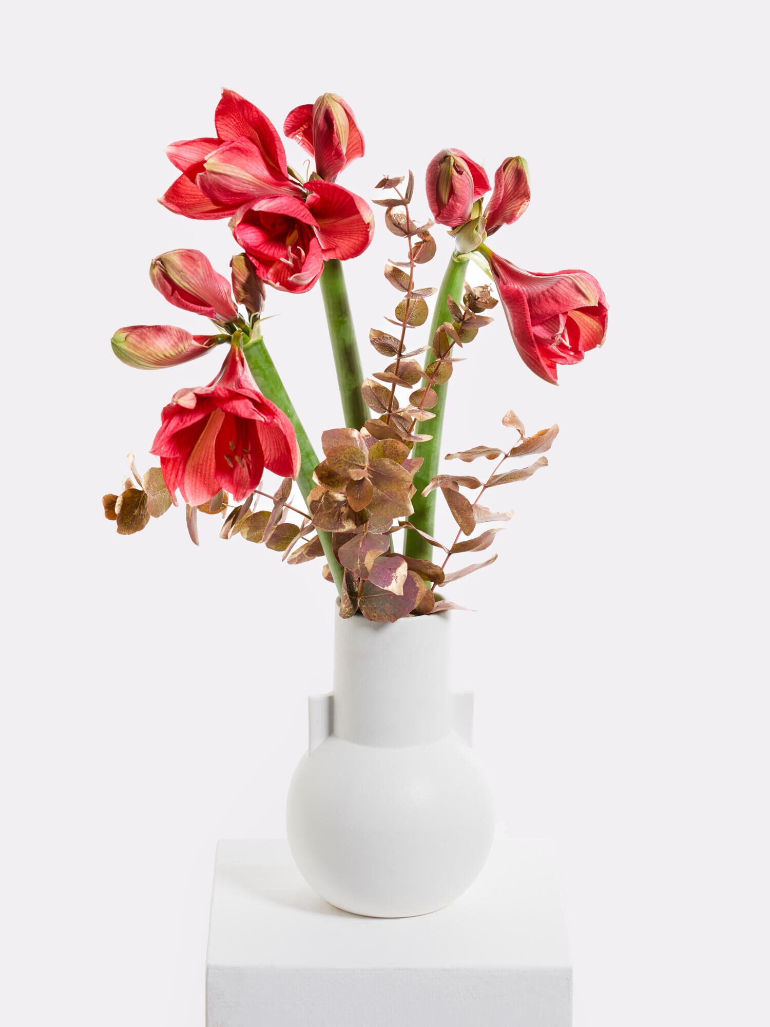 Wintermärchen - Hauptblüte: Amaryllis - Hauptfarbe: Gold, Pink, Rosa