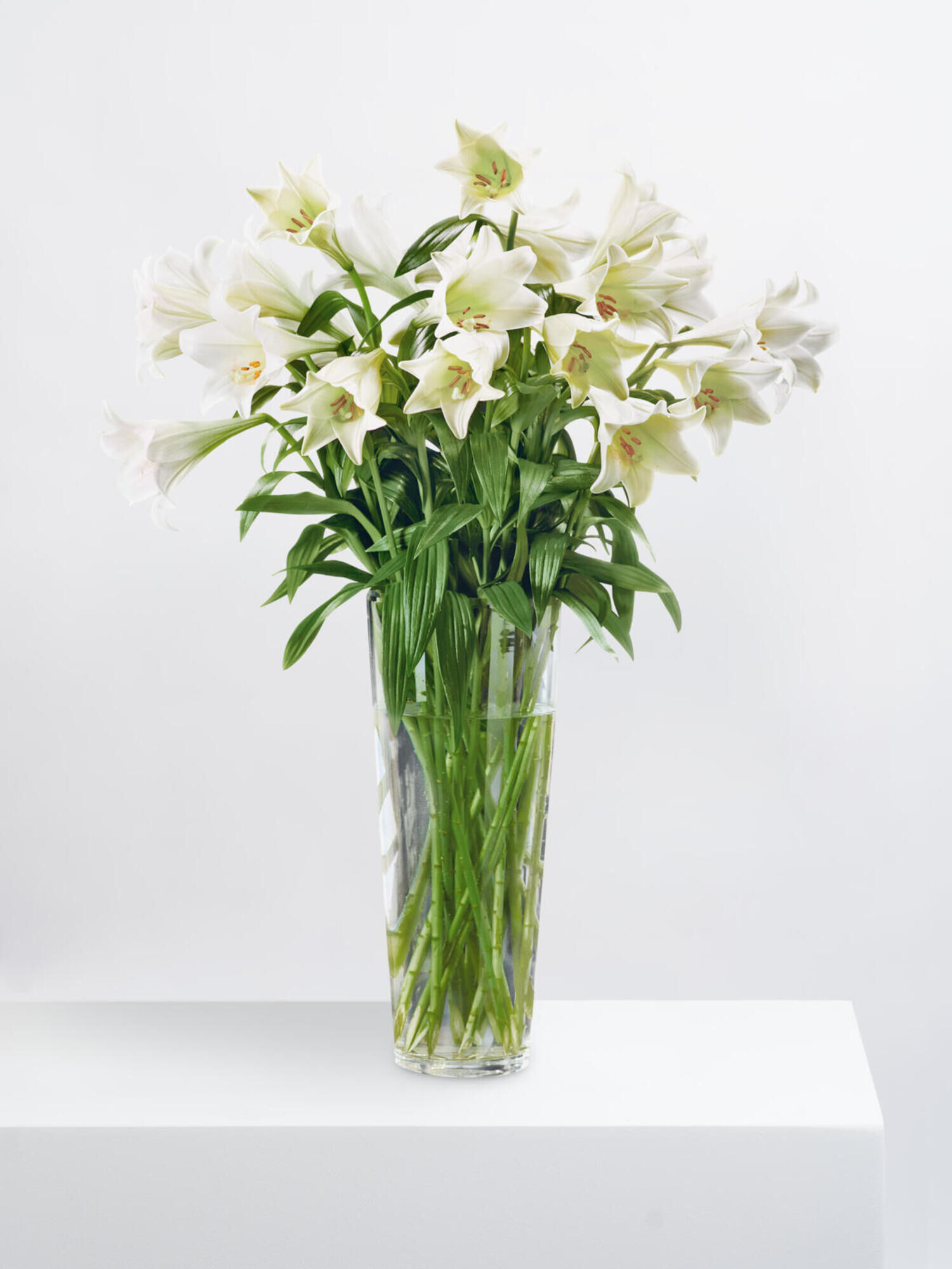 Fleurop Deluxe: White Lilies