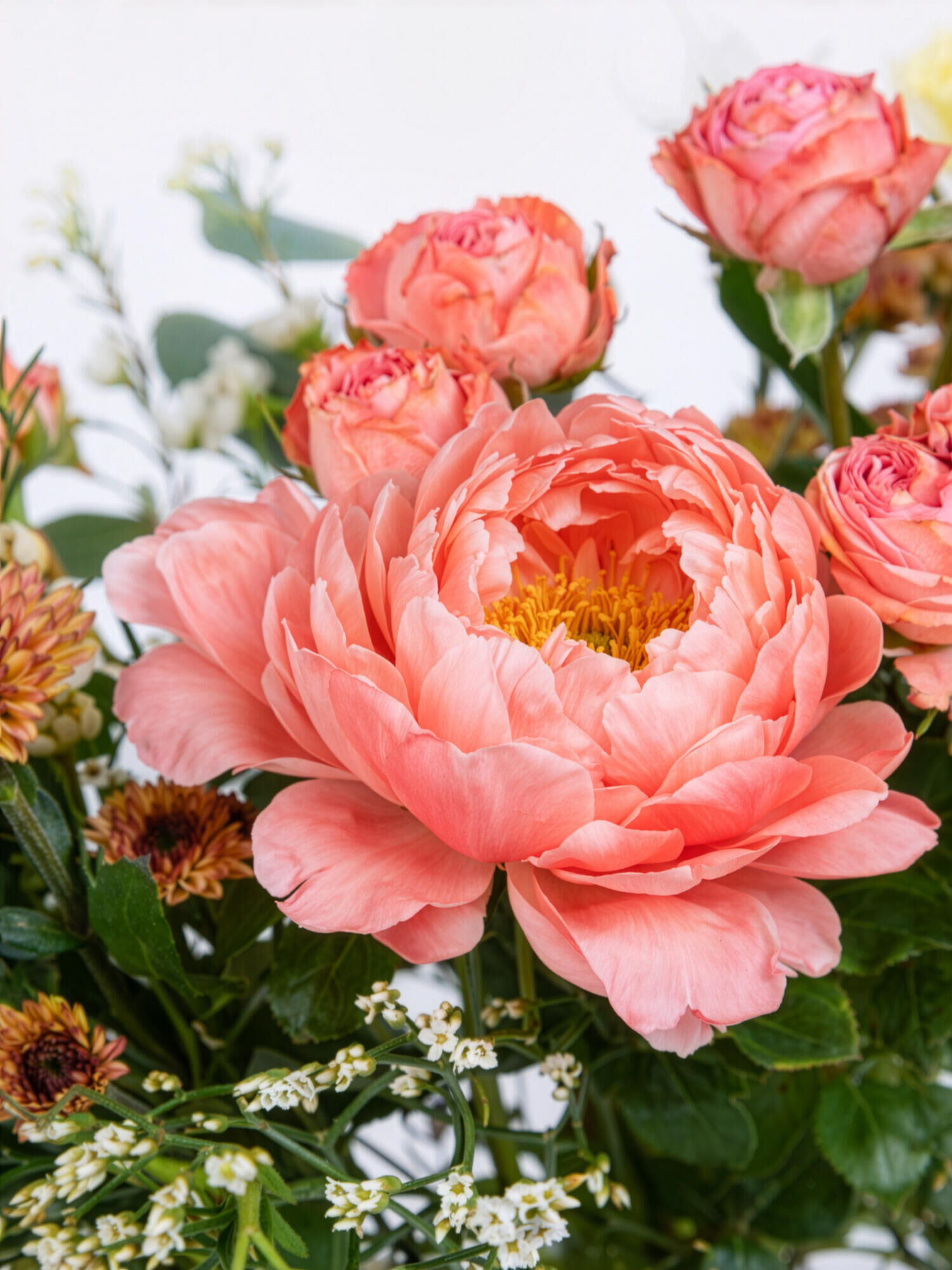 Pfingstrosentraum in Pink - Hauptblüte: Pfingstrosen - Hauptfarbe: Apricot