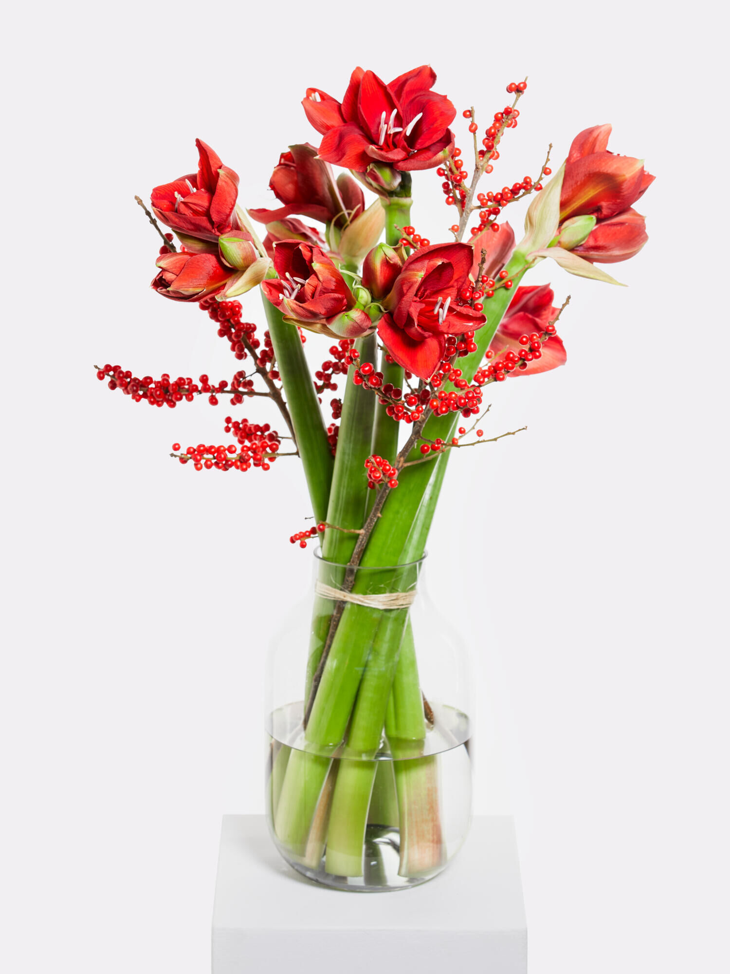 Red Amaryllis Dream - Main Colors: RED - Main Flowers: AMARYLLIS