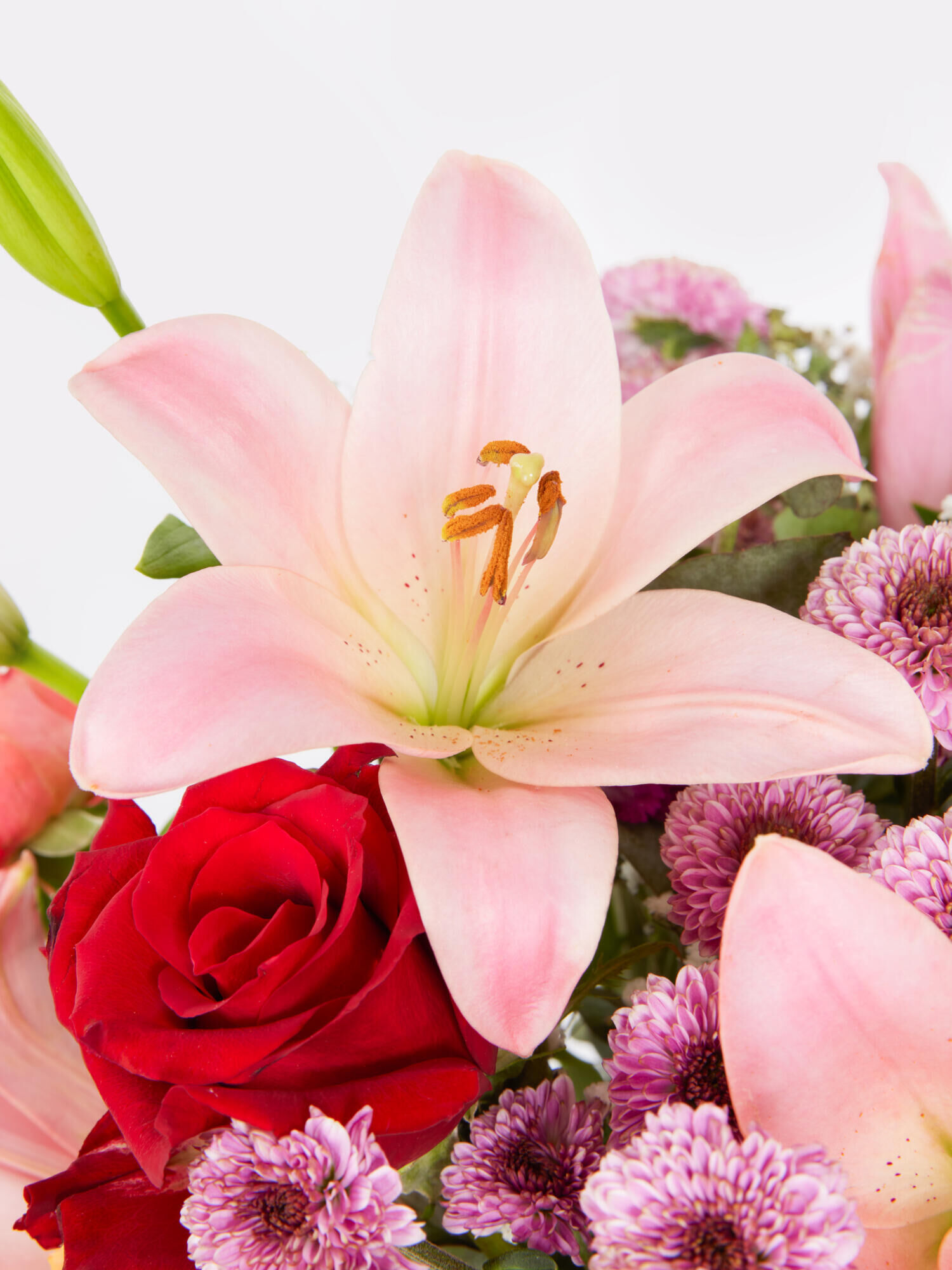 Charisma - Hauptblüte: Lilien, Nelken, Rosen - Hauptfarbe: Orange, Pink, Rosa, Rot