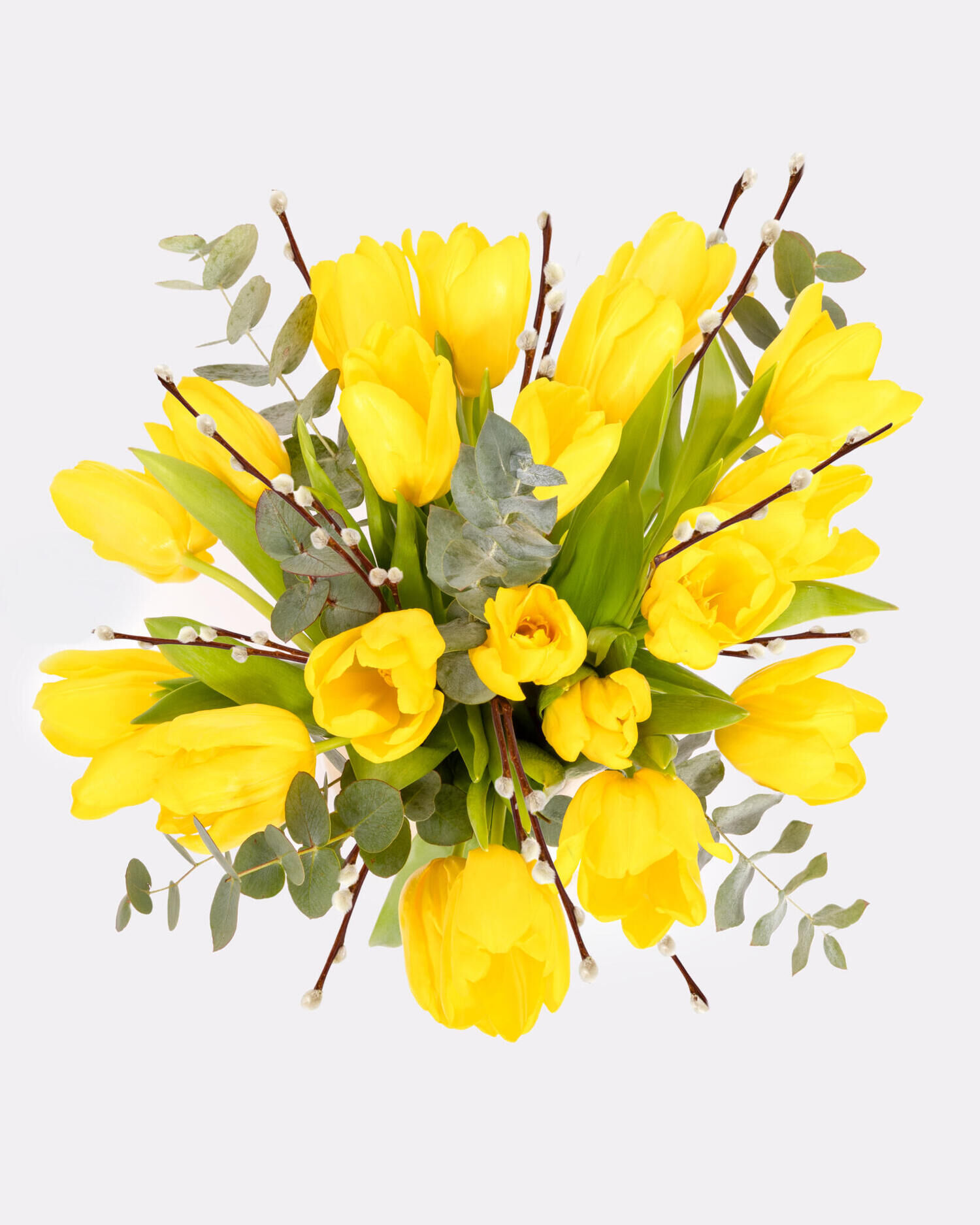 Tulip Dream - Hauptblüte: Tulpen - Hauptfarbe: Gelb