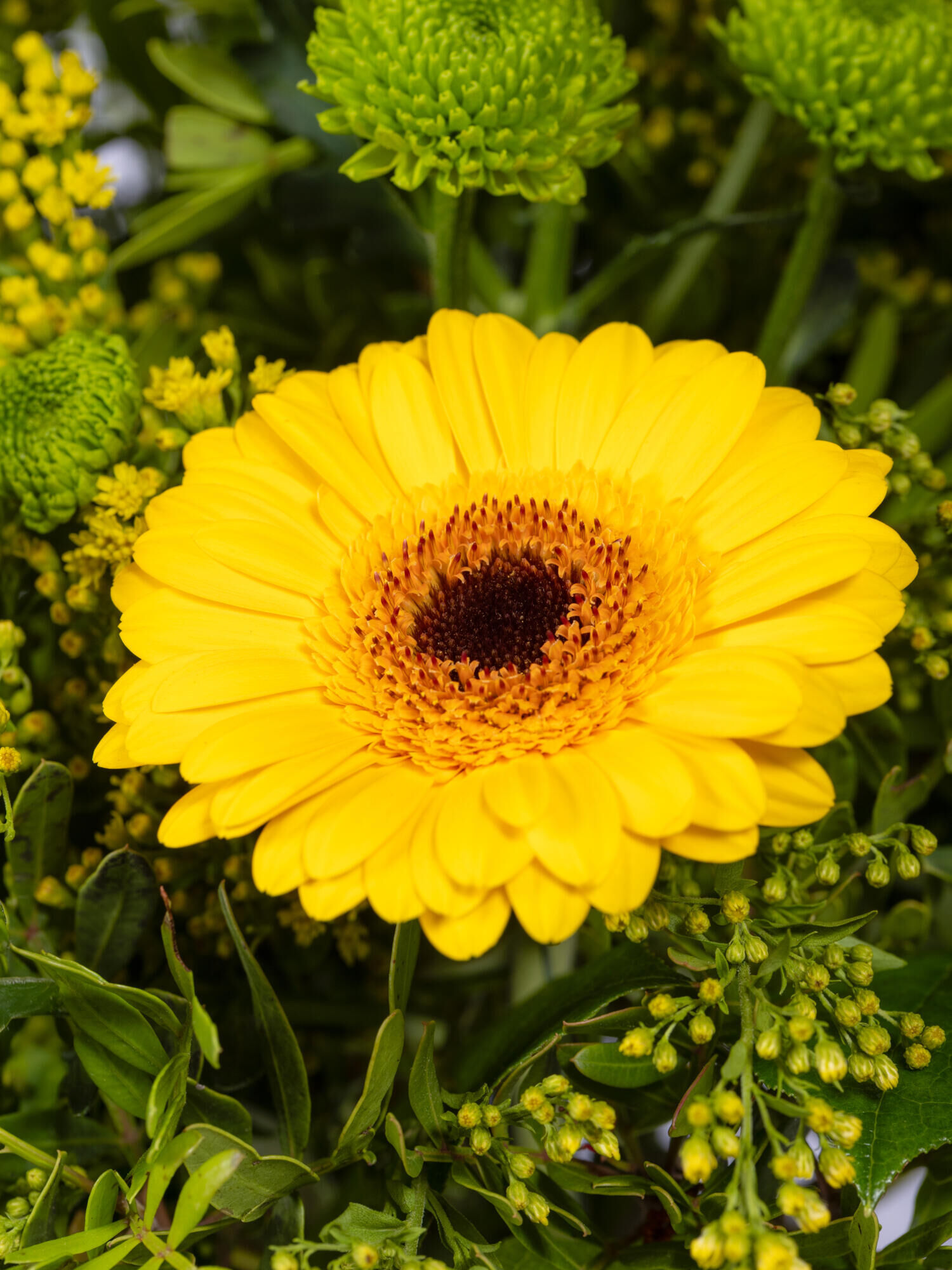 Strauß der Woche - Hauptblüte: Chrysanthemen, Germini - Hauptfarbe: Gelb