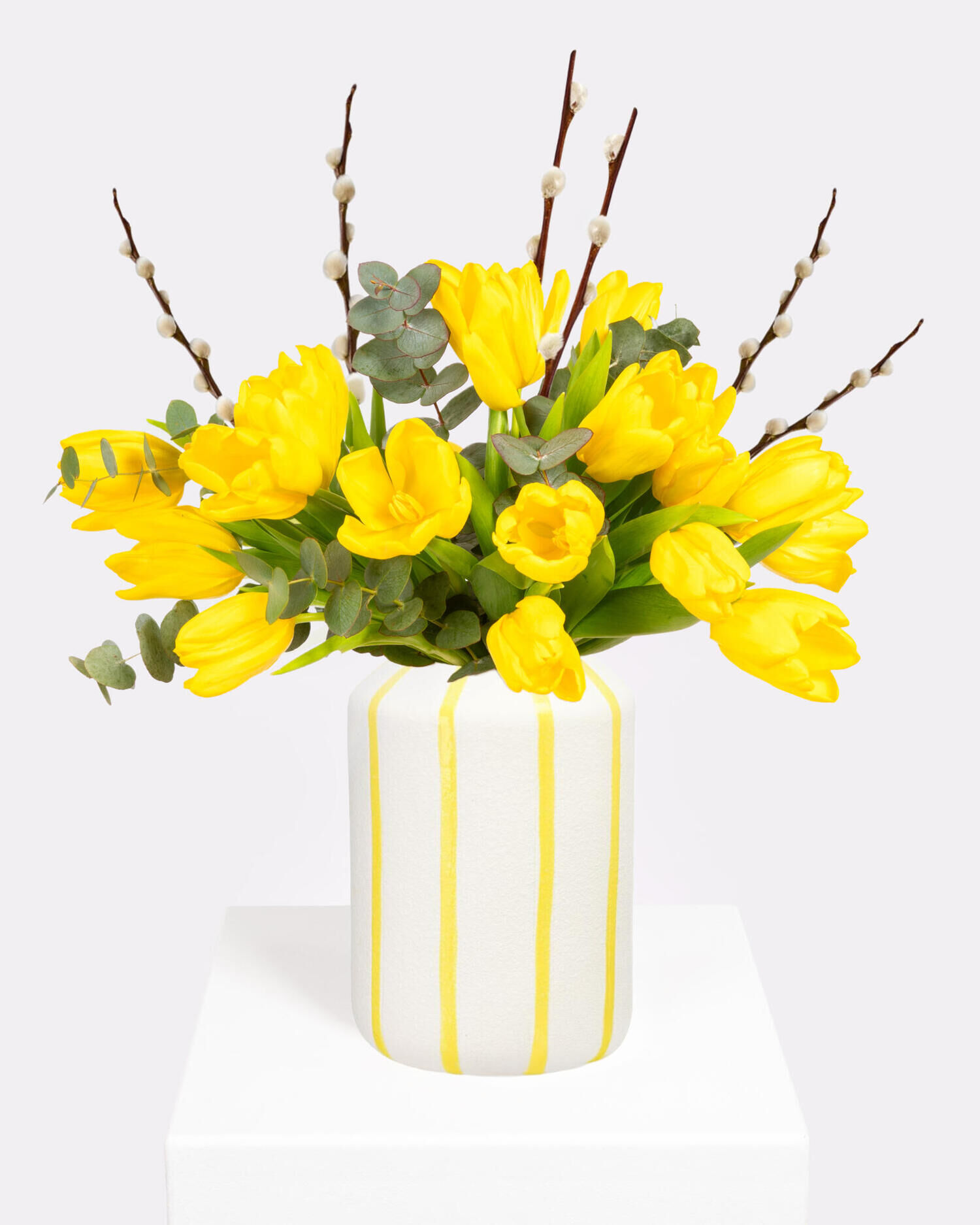 Tulip Dream - Hauptblüte: Tulpen - Hauptfarbe: Gelb