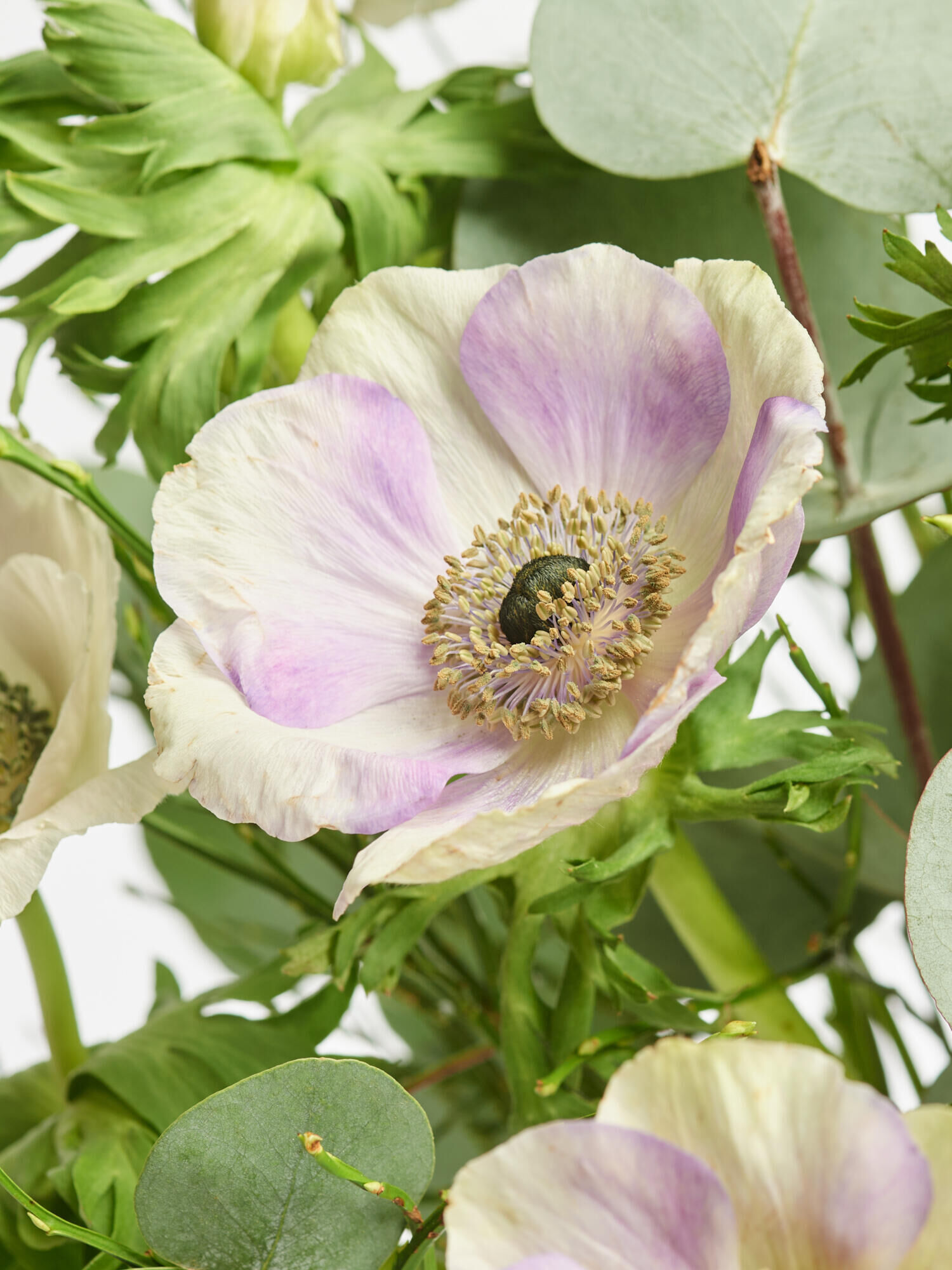 Pastell-Träume - Hauptfarbe: Grün, Rosa