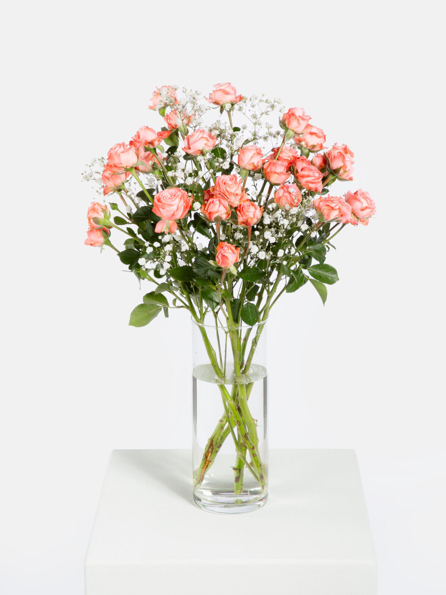 Amazing Roses - Hauptblüte: Rosen - Hauptfarbe: Rosa