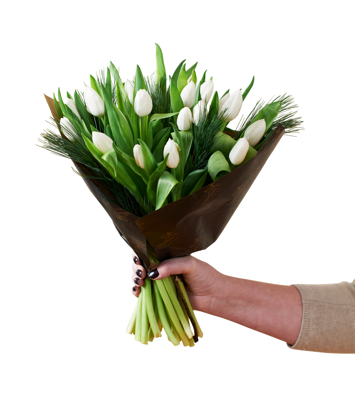 White Tulips Christmas 240518