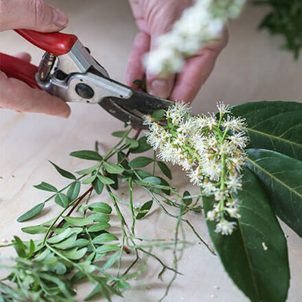 Nahaufnahme von Händen, die mit einer Gartenschere frische grüne Zweige und weiße Blüten für einen Frühlingskranz zuschneiden.