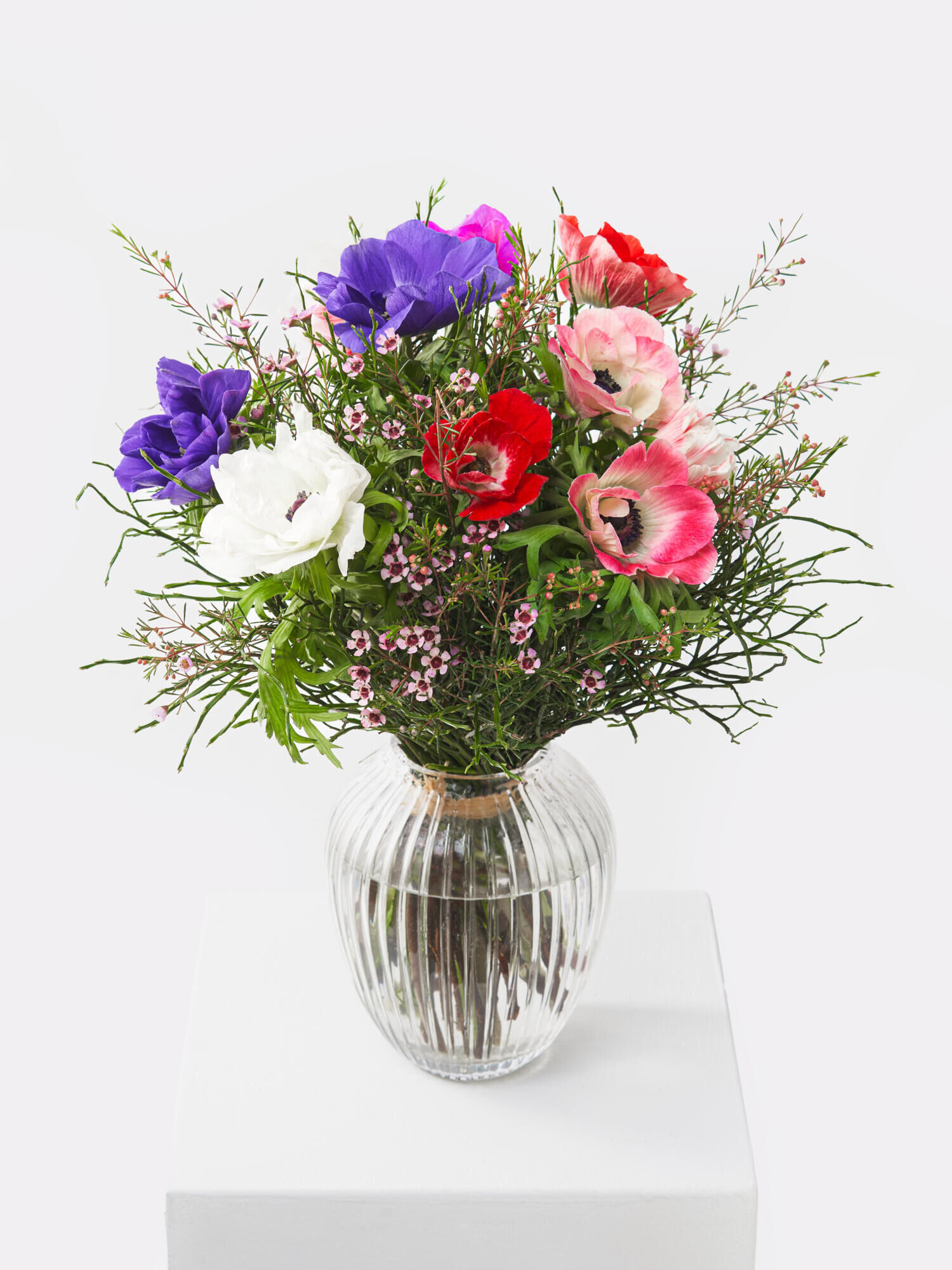 Farbenpracht - Hauptfarbe: Pink, Rot, Violett, Weiß