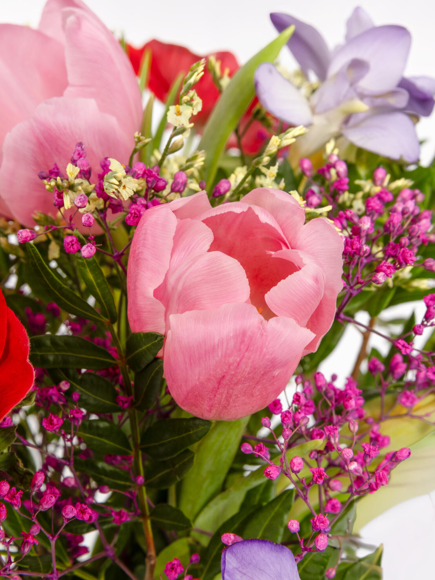 Eye-Catcher - Hauptblüte: Freesien, Tulpen - Hauptfarbe: Bunt