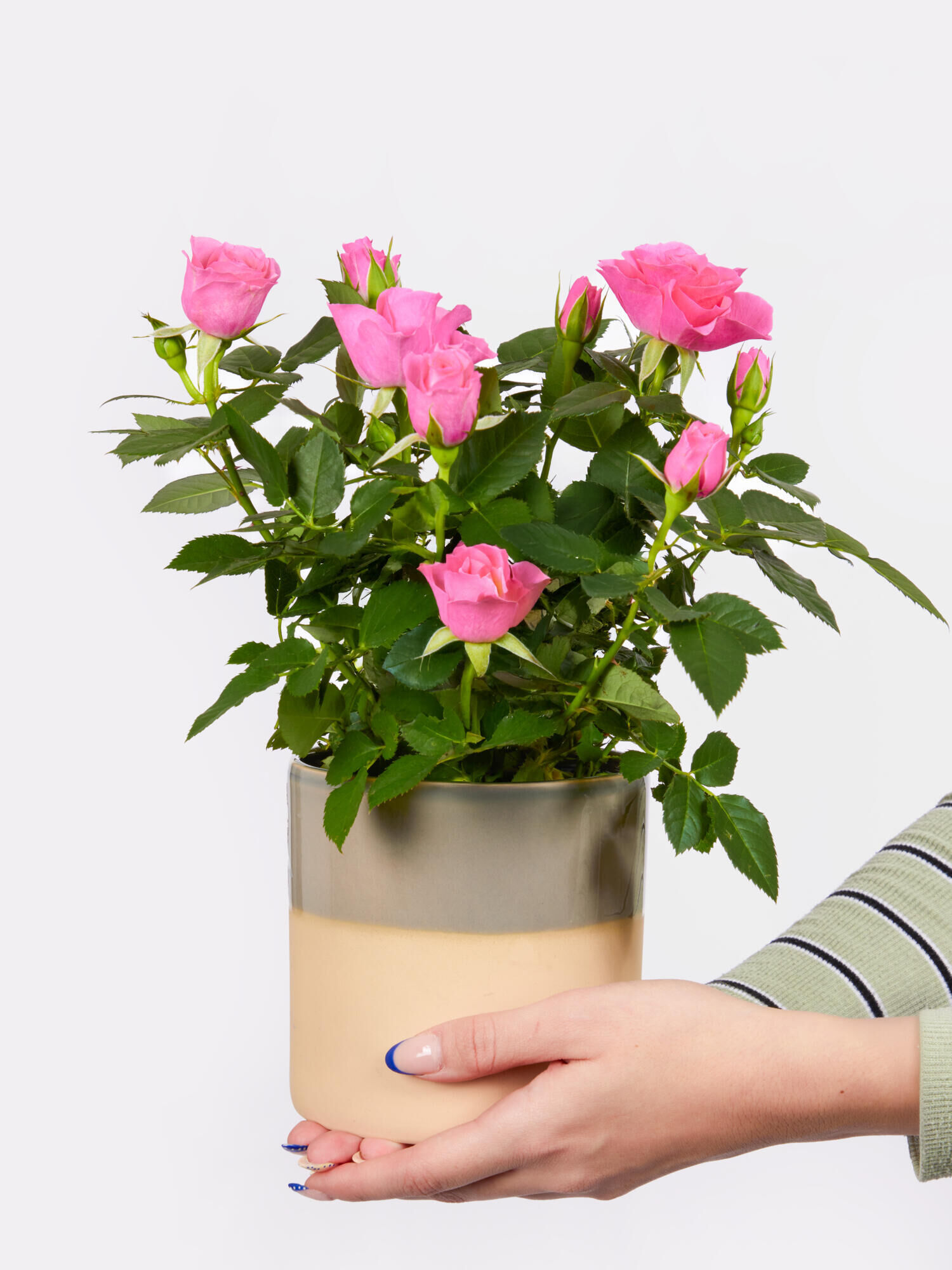 Because You are the Best