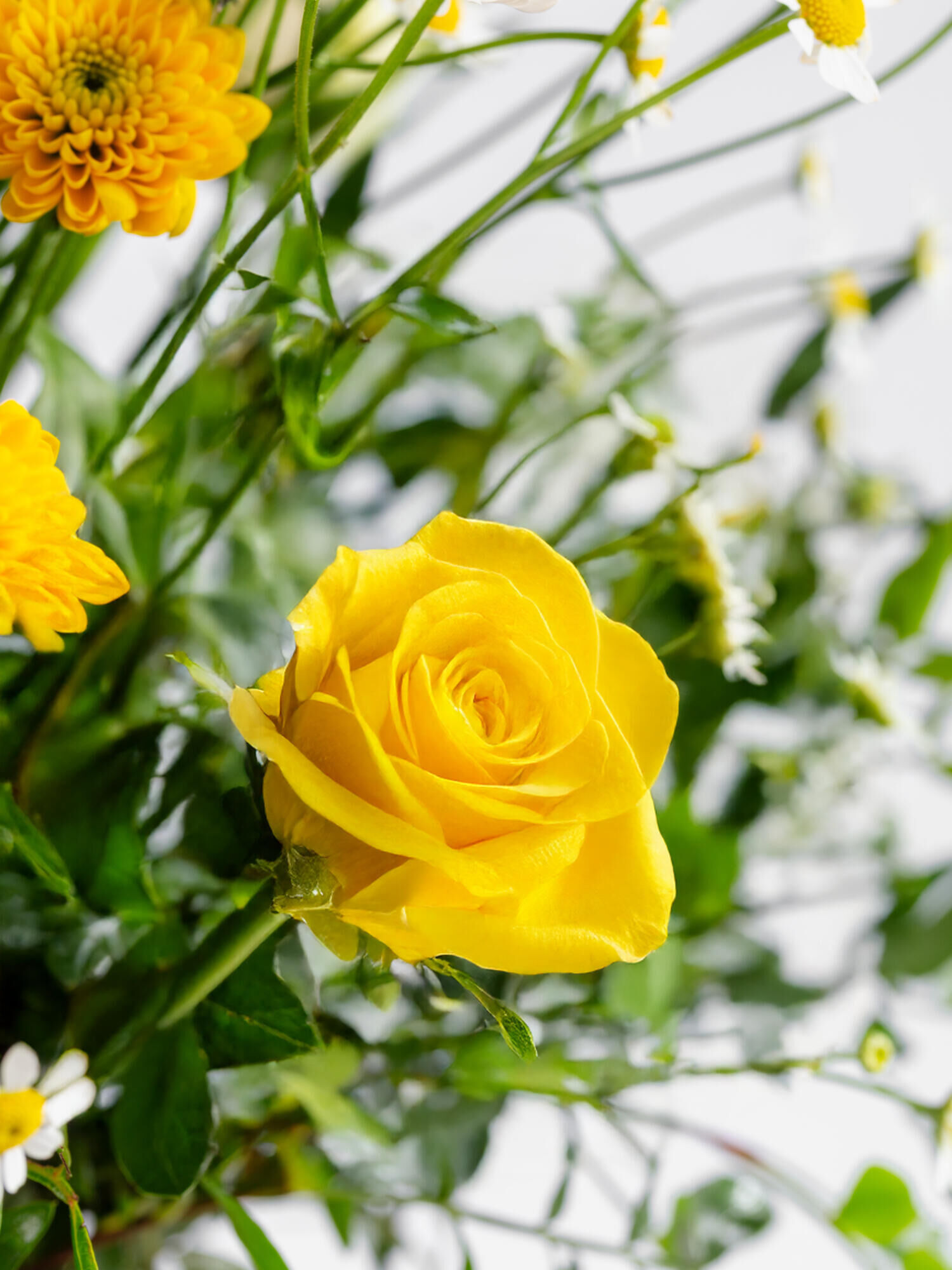 Strauß der Woche - Hauptblüte: Rosen - Hauptfarbe: Gelb