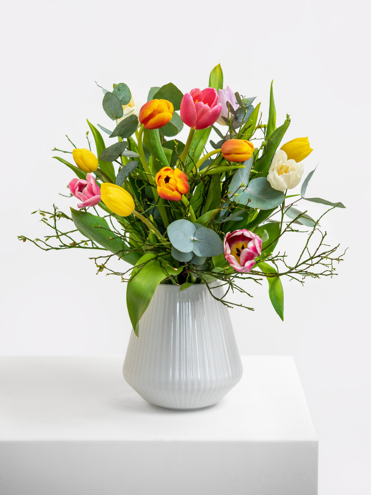 Frisch und Fröhlich - Hauptblüte: Tulpen - Hauptfarbe: Bunt