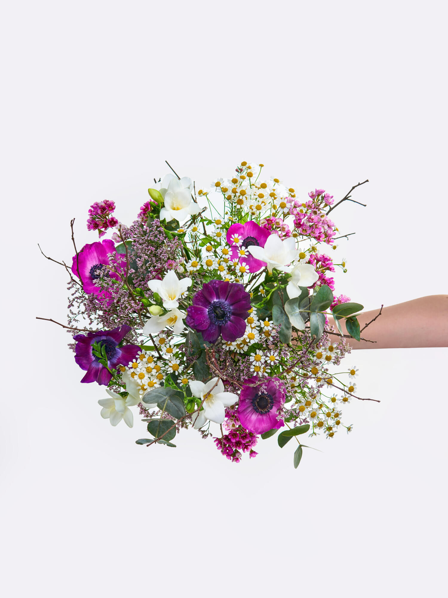 Erster Frühlingsmorgen - Hauptblüte: Freesien - Hauptfarbe: Pink, Violett, Weiß