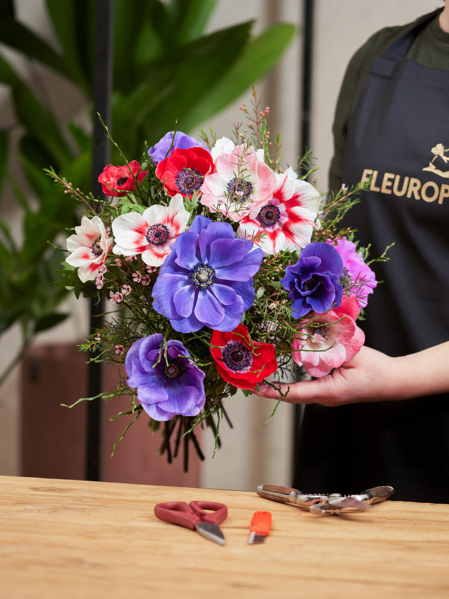 Farbenpracht - Hauptfarbe: Pink, Rot, Violett, Weiß