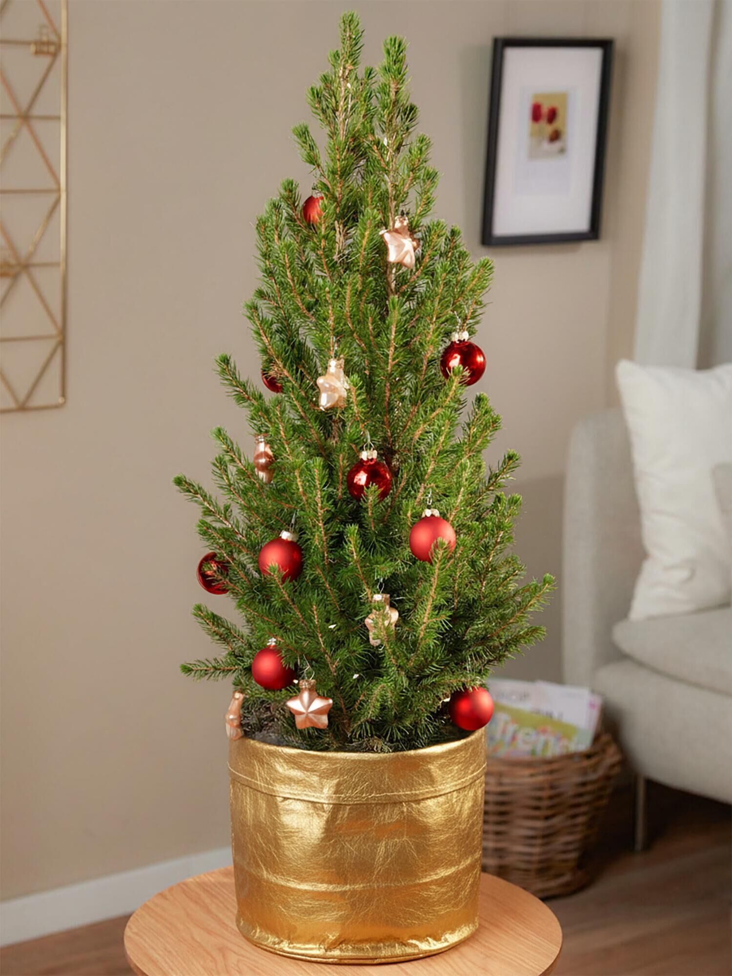 Weihnachtsglöckchen