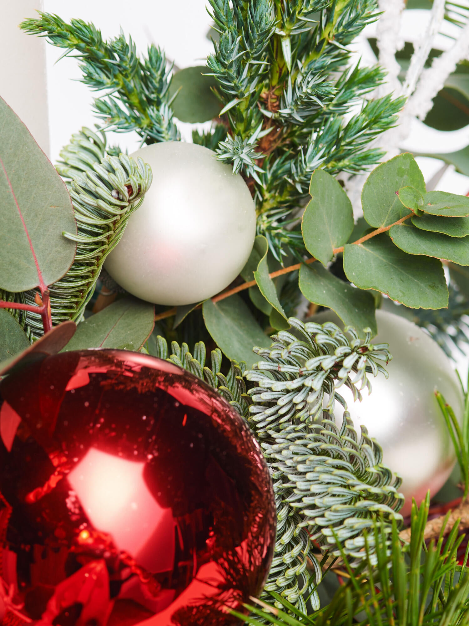 Christmas Glow - Main Colors: RED, WHITE