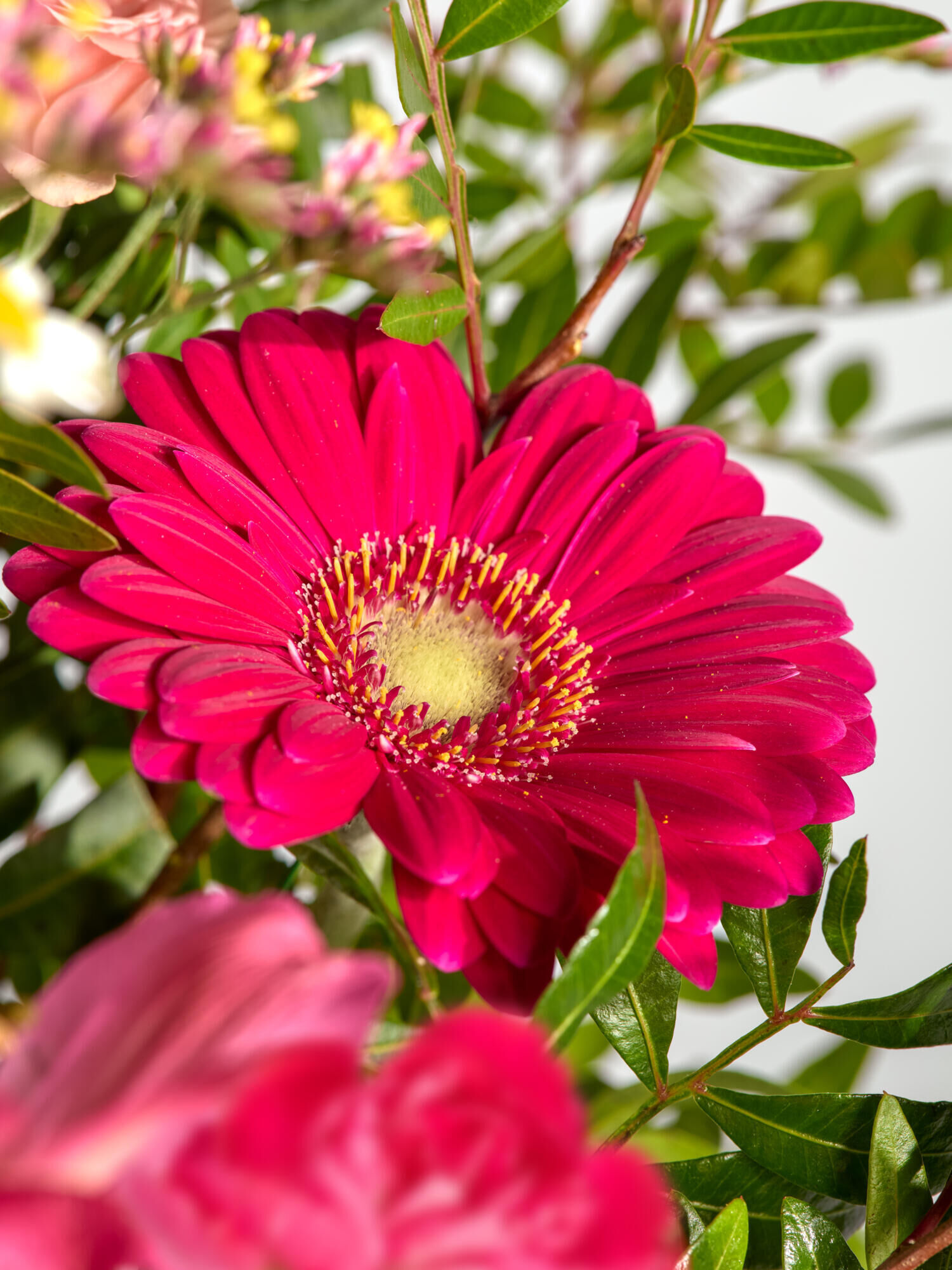Ich hab Dich lieb - Hauptblüte: Alstromerien, Germini, Rosen - Hauptfarbe: Gelb, Pink, Rosa, Weiß