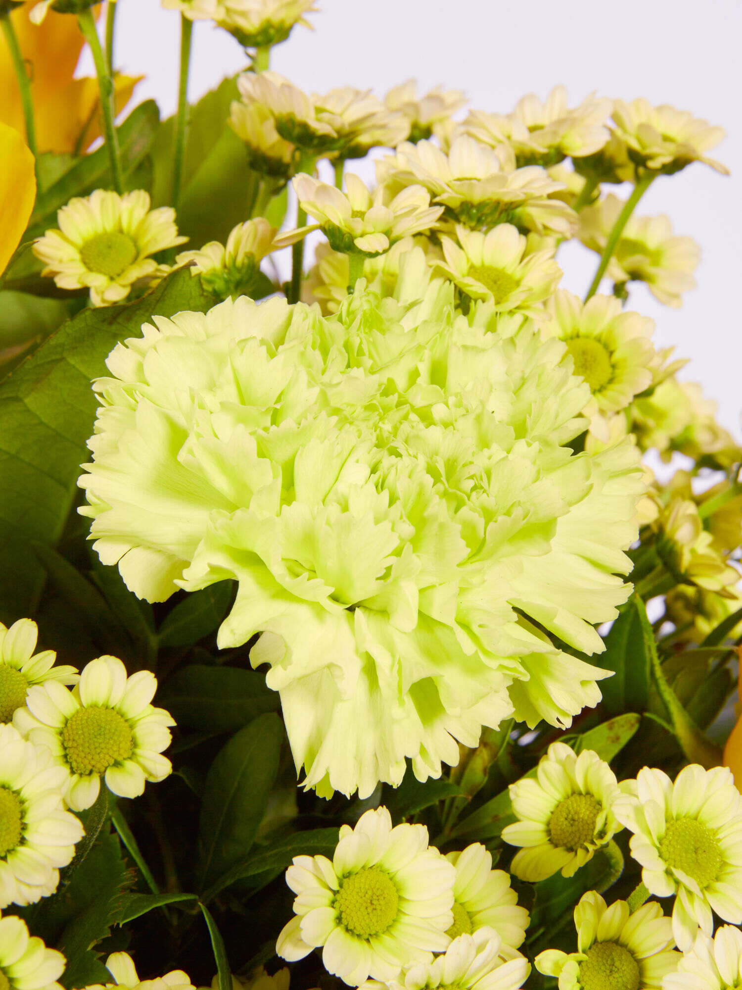 Strauß der Woche - Hauptblüte: Nelken, Rosen - Hauptfarbe: Gelb, Grün