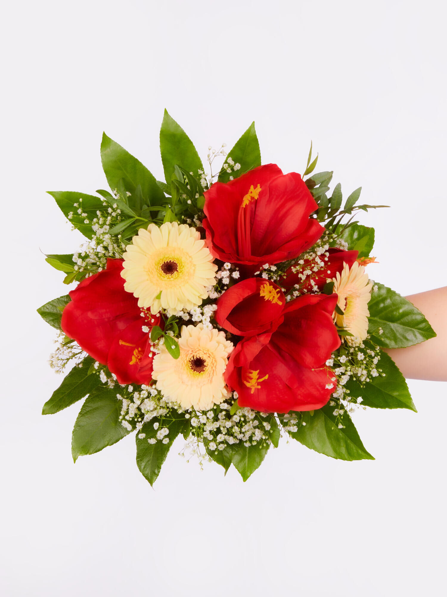 Strauß der Woche - Hauptblüte: Amaryllis, Germini - Hauptfarbe: Rot, Weiß