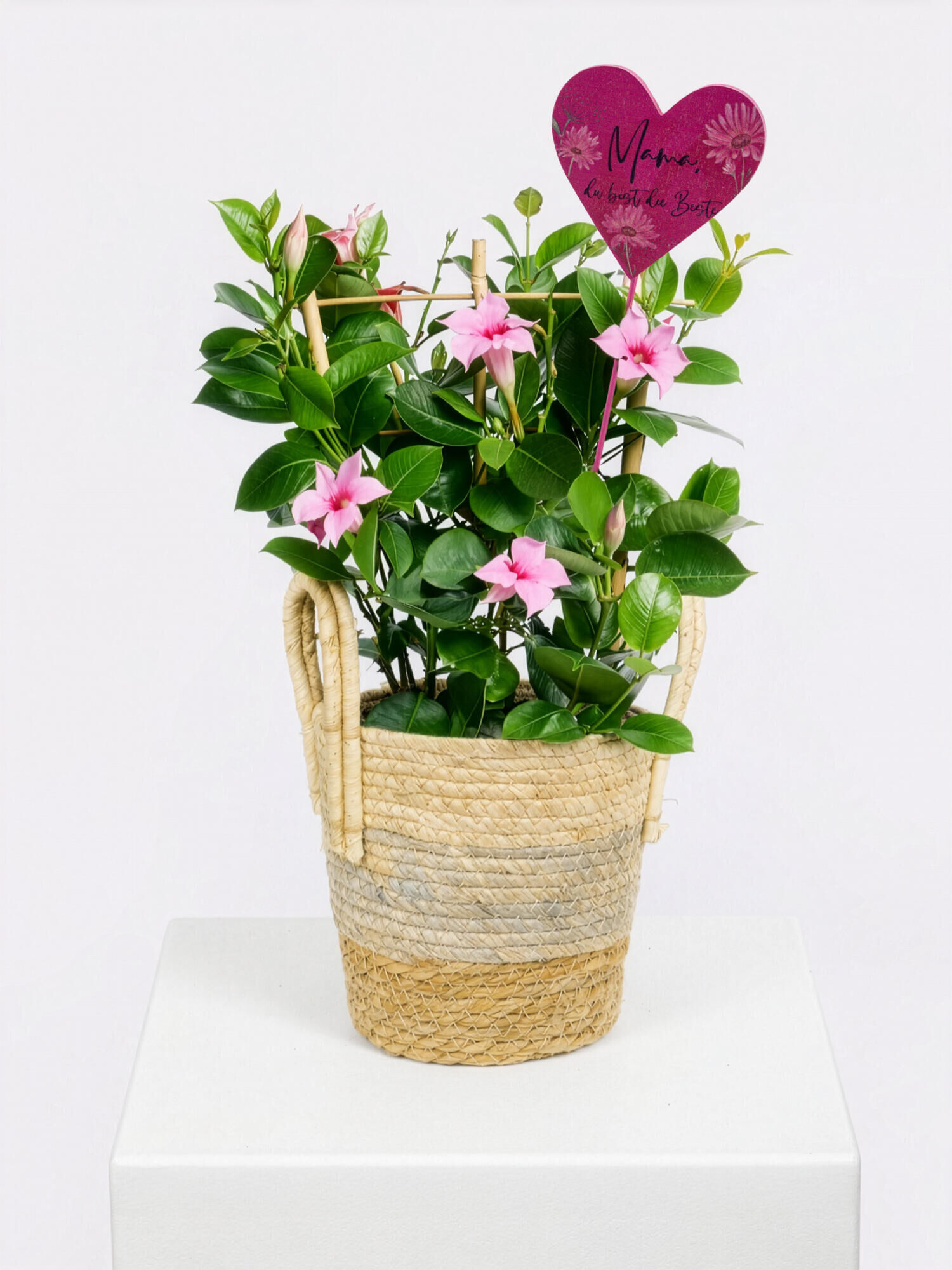 As Lovely as You - Hauptfarbe: Rosa