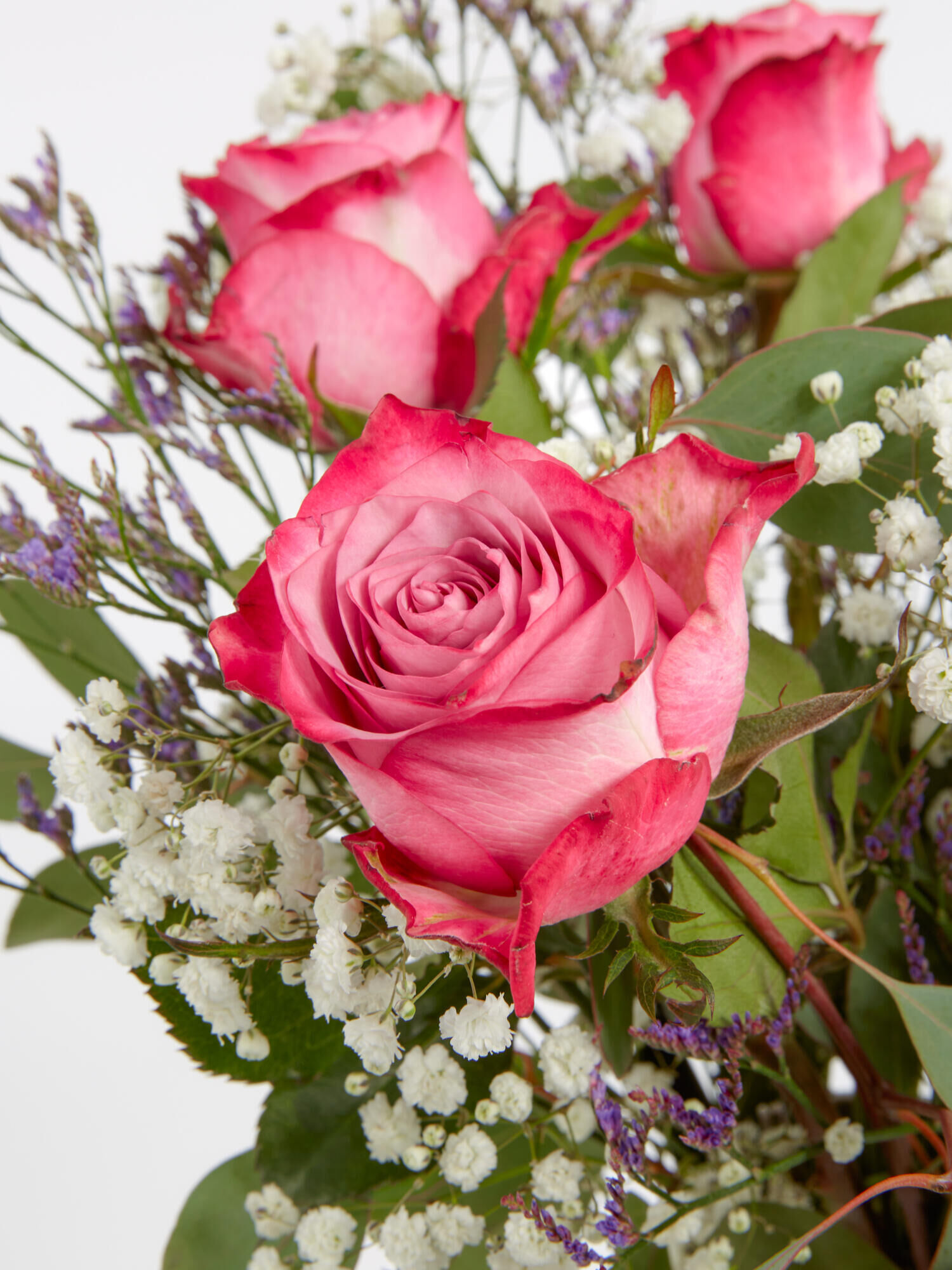 Sweet Memories - Main Colors: GREEN, PURPLE, ROSE - Main Flowers: ROSES