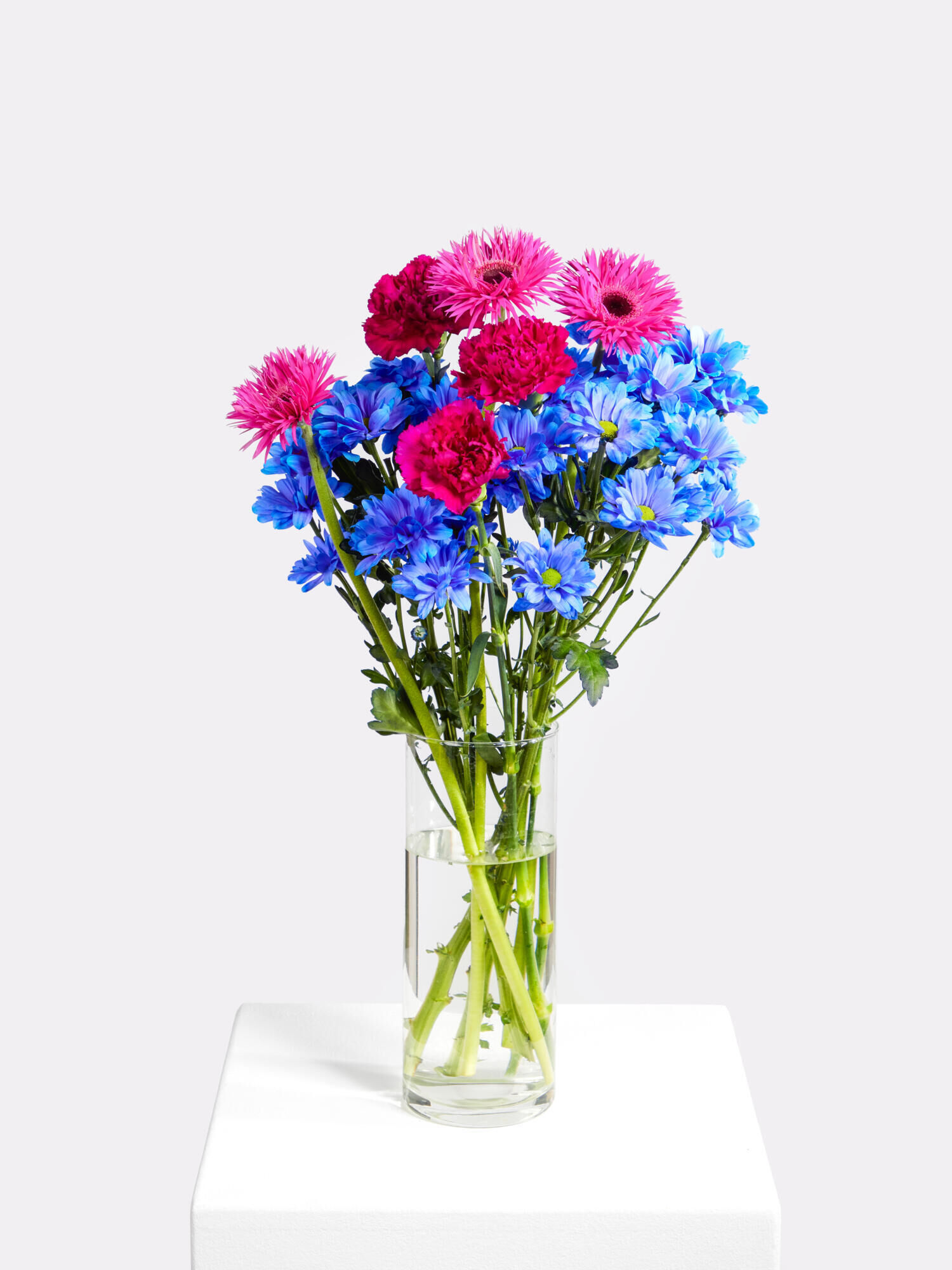 Dopamin Crush - Hauptblüte: Chrysanthemen, Germini, Nelken - Hauptfarbe: Pink, Violett