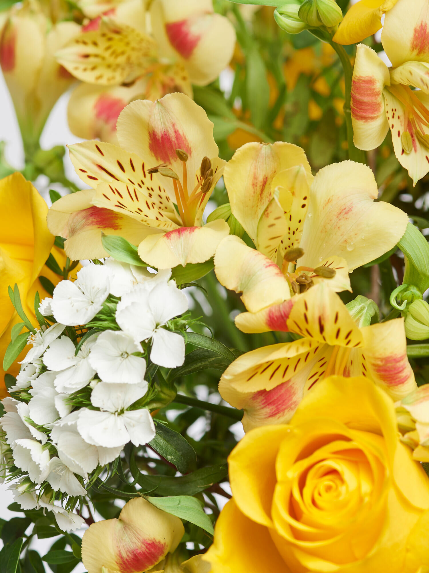 Strauß der Woche - Hauptblüte: Alstromerien, Rosen - Hauptfarbe: Gelb, Weiß
