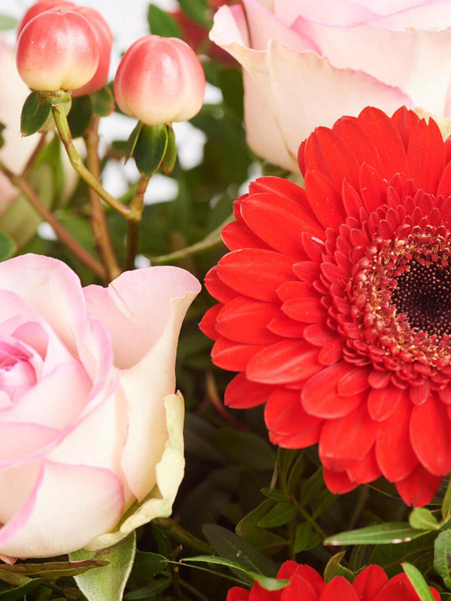 Strauß der Woche - Hauptblüte: Germini, Rosen - Hauptfarbe: Rosa, Rot