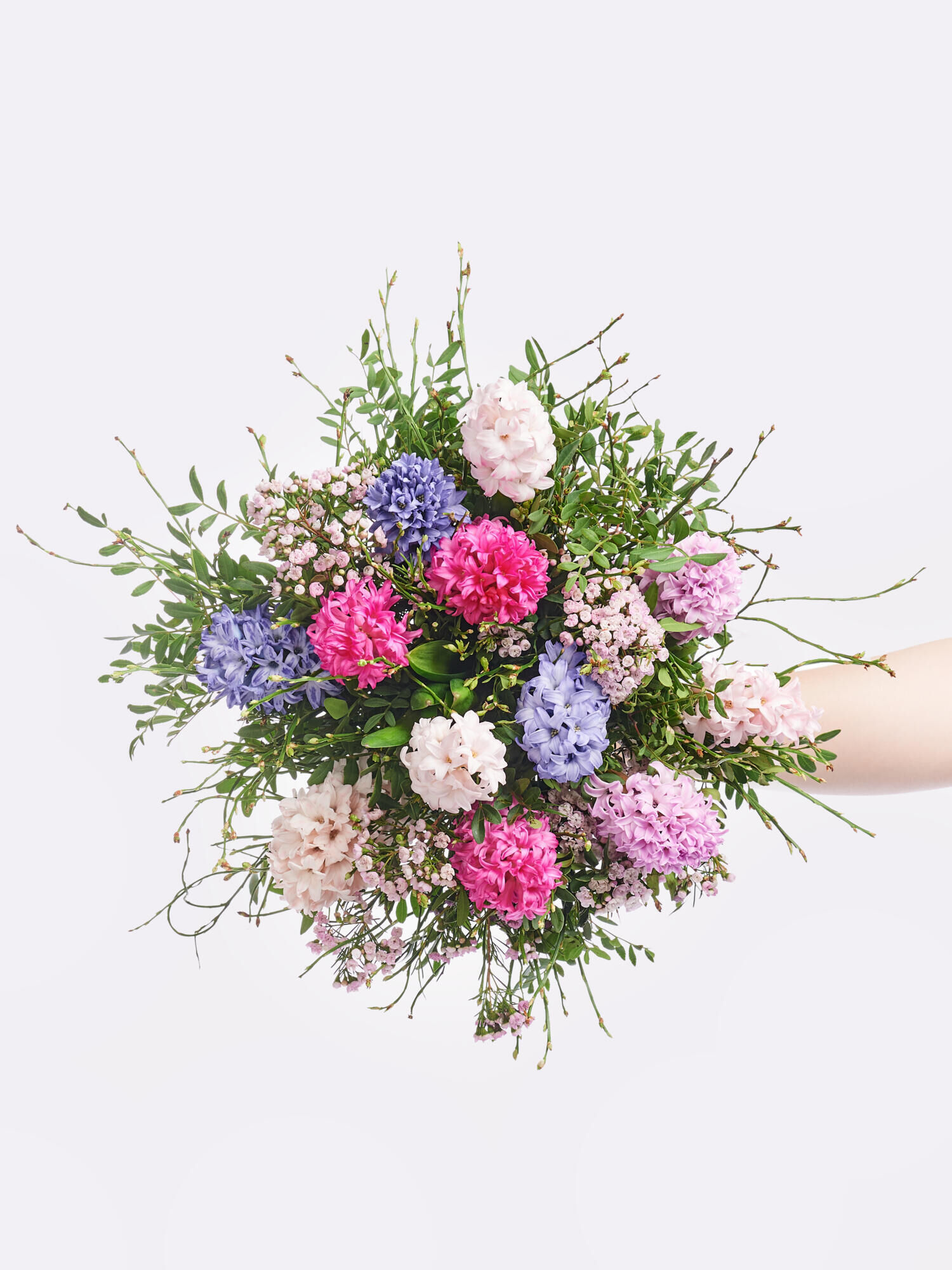 Duftmomente - Hauptblüte: Hyazinthen - Hauptfarbe: Pink, Rosa, Violett