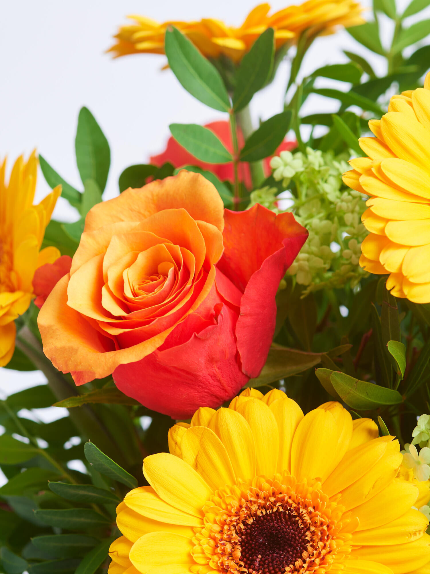 Strauß der Woche - Hauptblüte: Germini, Rosen - Hauptfarbe: Gelb, Orange