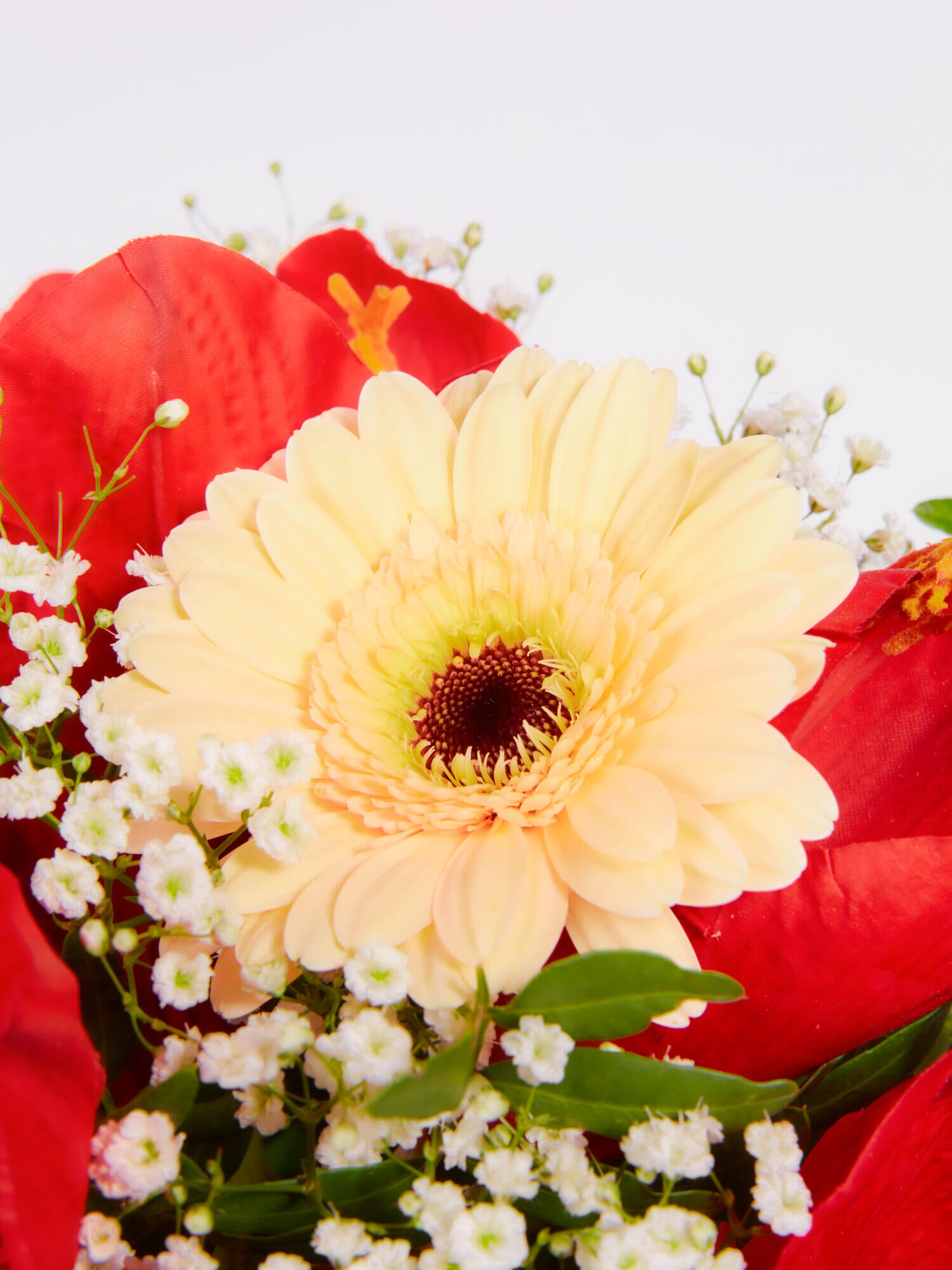 Strauß der Woche - Hauptblüte: Amaryllis, Germini - Hauptfarbe: Rot, Weiß