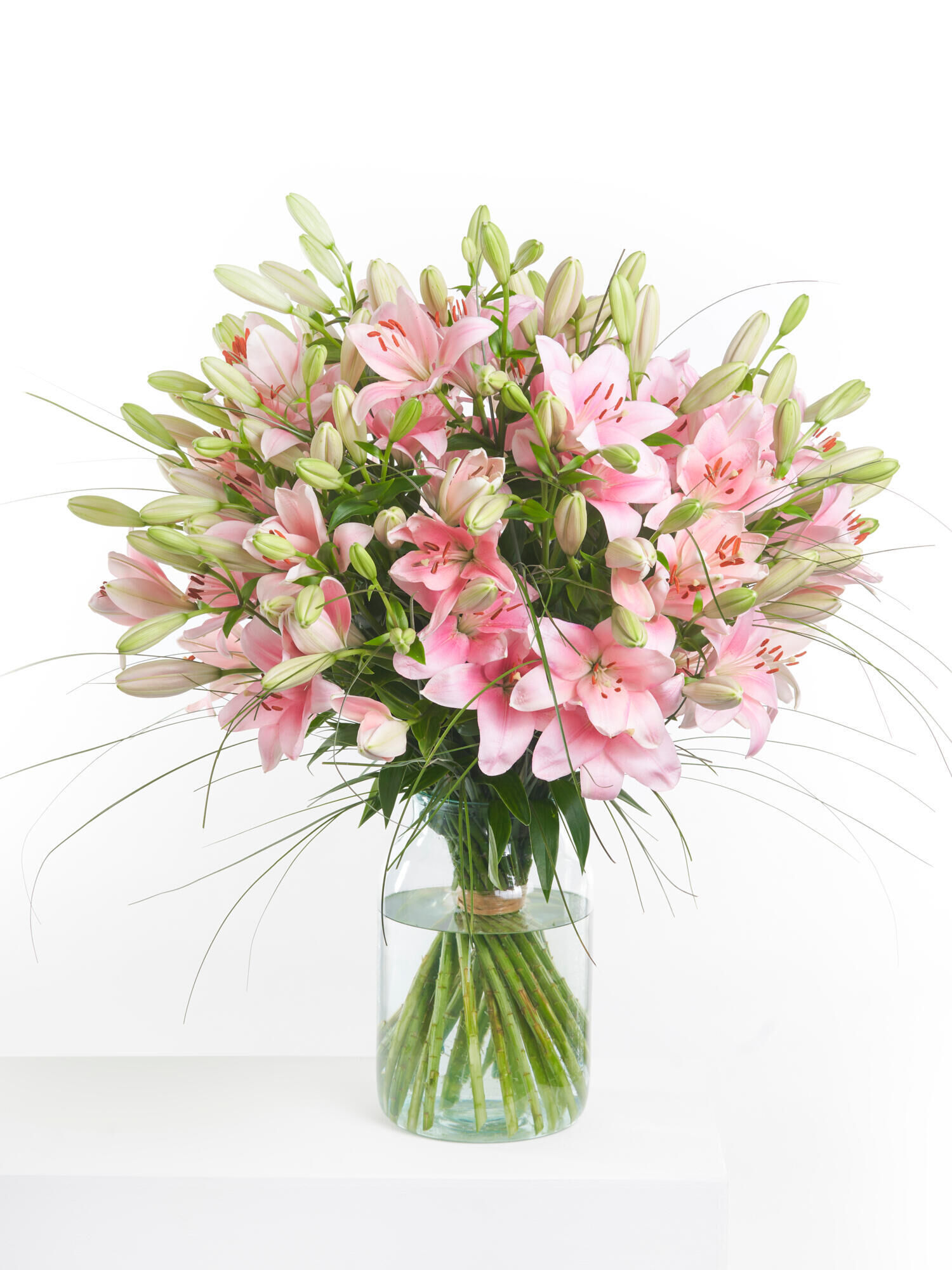 Tropical Island - Hauptblüte: Lilien - Hauptfarbe: Rosa