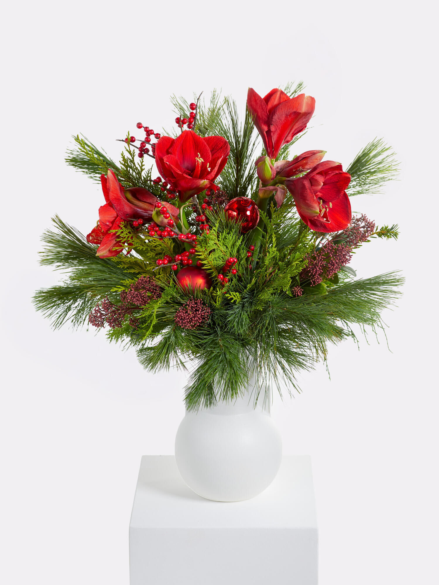 Winter Botschaft - Hauptblüte: Amaryllis - Hauptfarbe: Rot