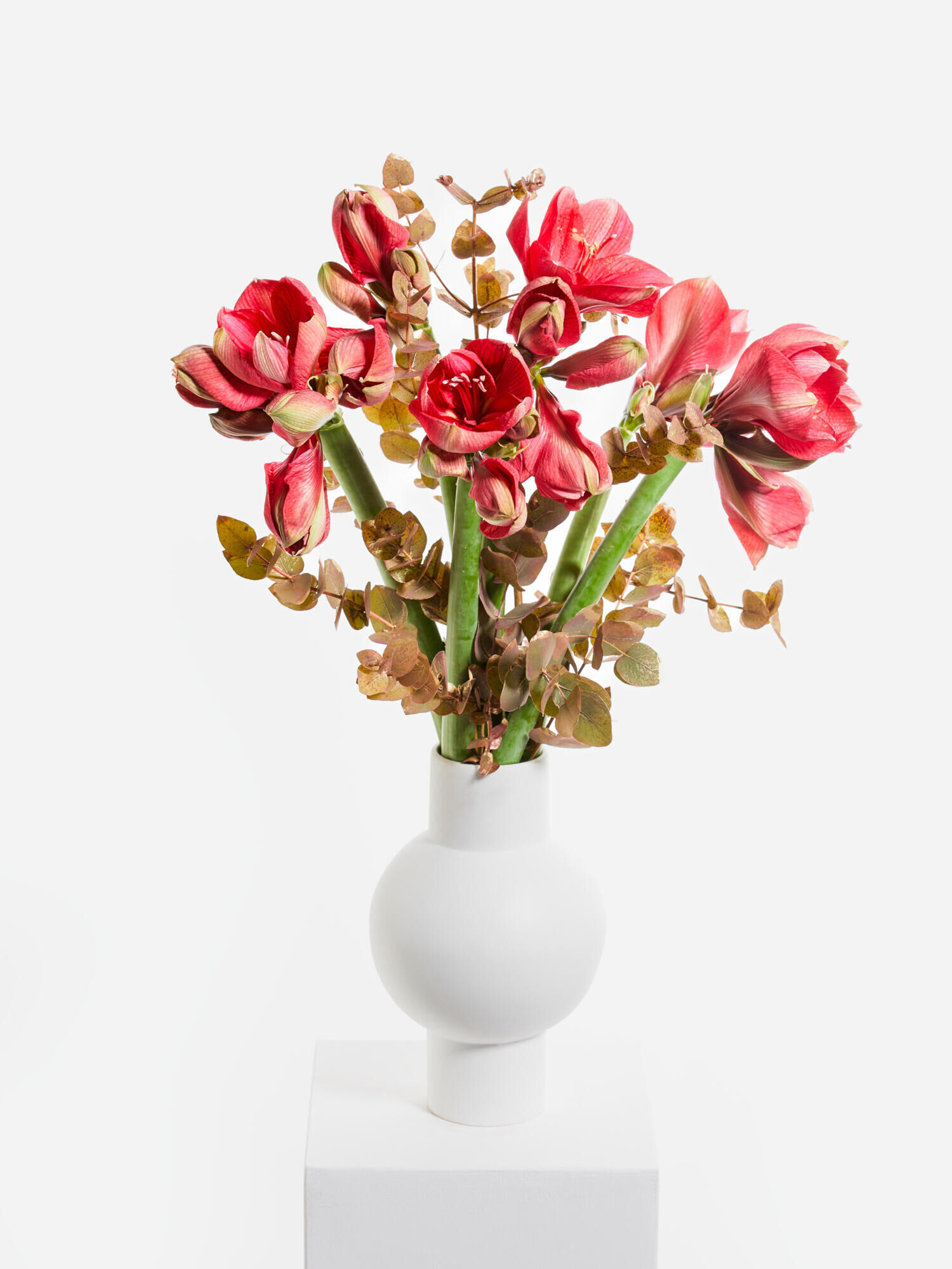 Winter Fairy Tale Winter Fairy Tale - Main Colors: GOLD, PINK - Main Flowers: AMARYLLIS