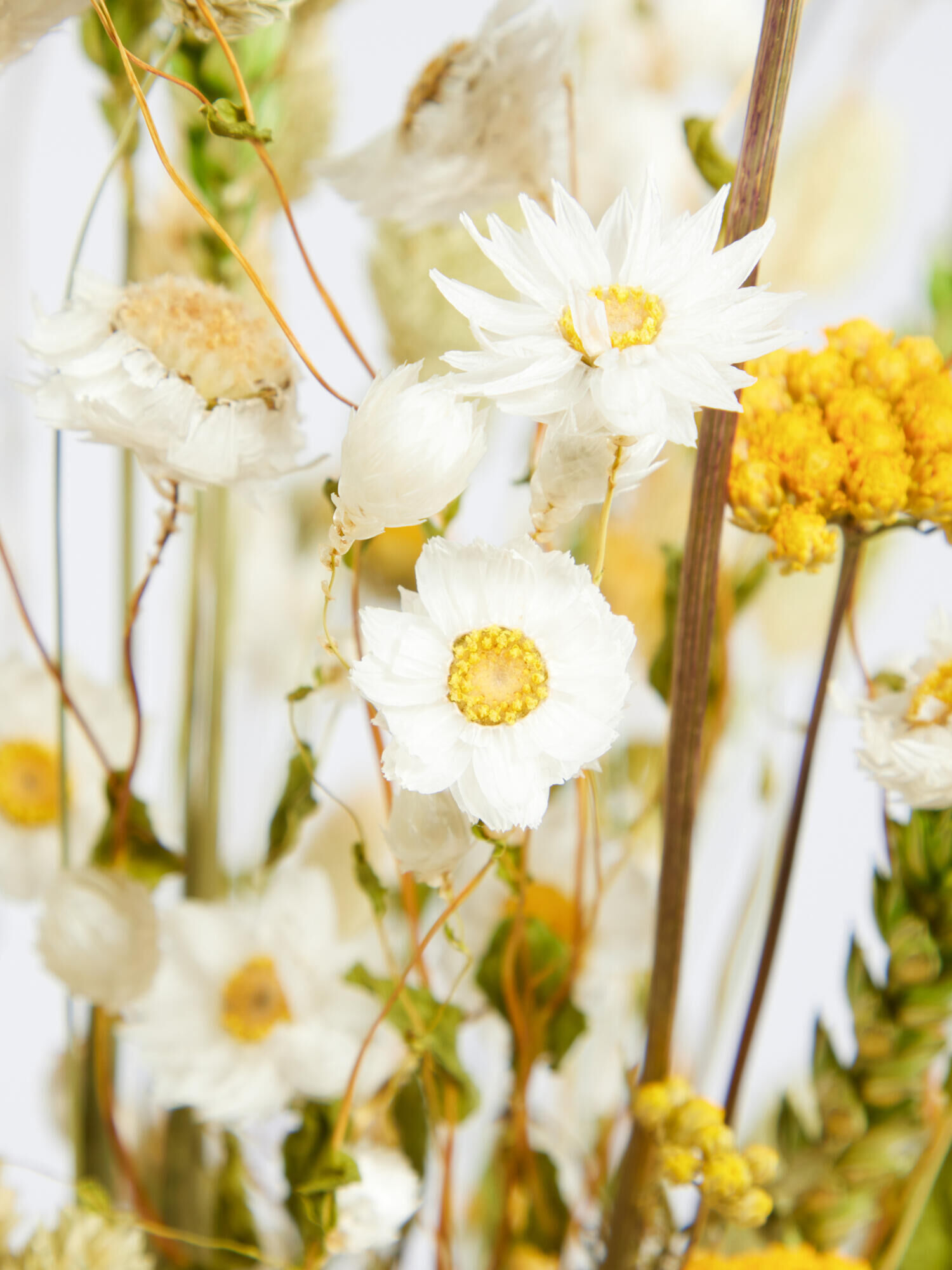 Boho Trockenblumenstrauß - Hauptfarbe: Gelb