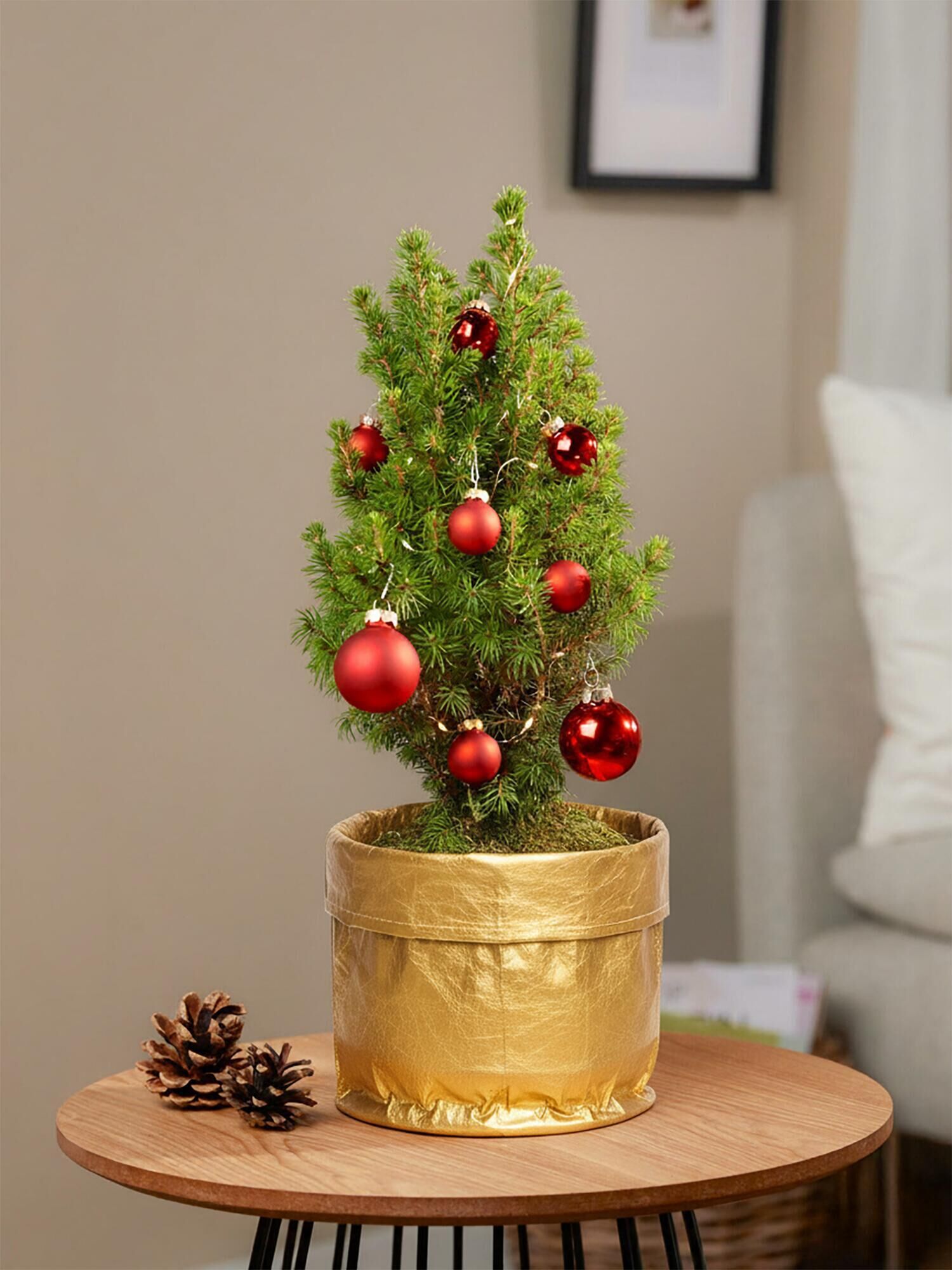 Zauberhafte Weihnachtsgrüße Zauberhafte Weihnachtsgrüße