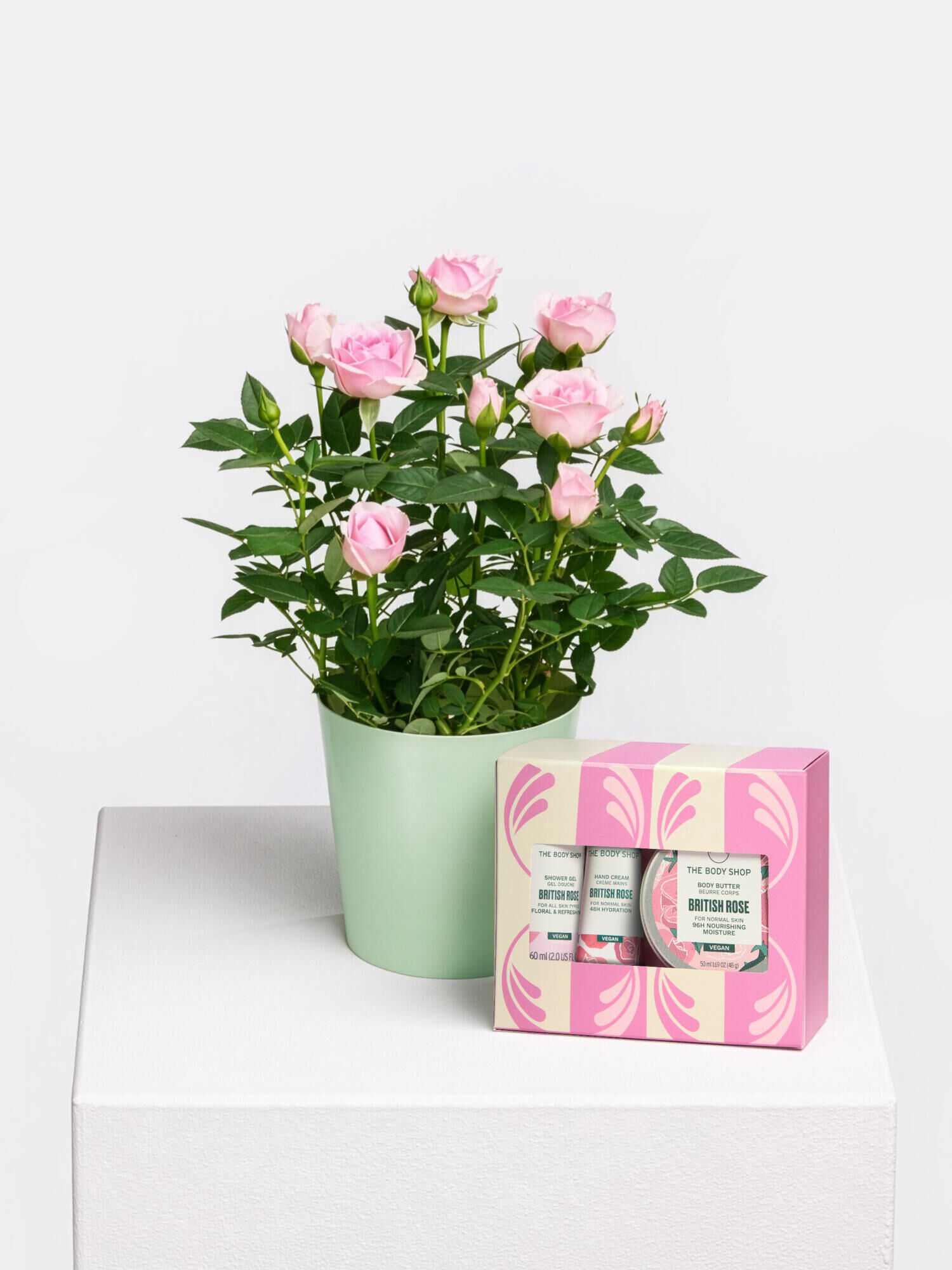 Pot Rose 'Beauty' mit Body Shop Set - Hauptblüte: Rosen - Hauptfarbe: Rosa