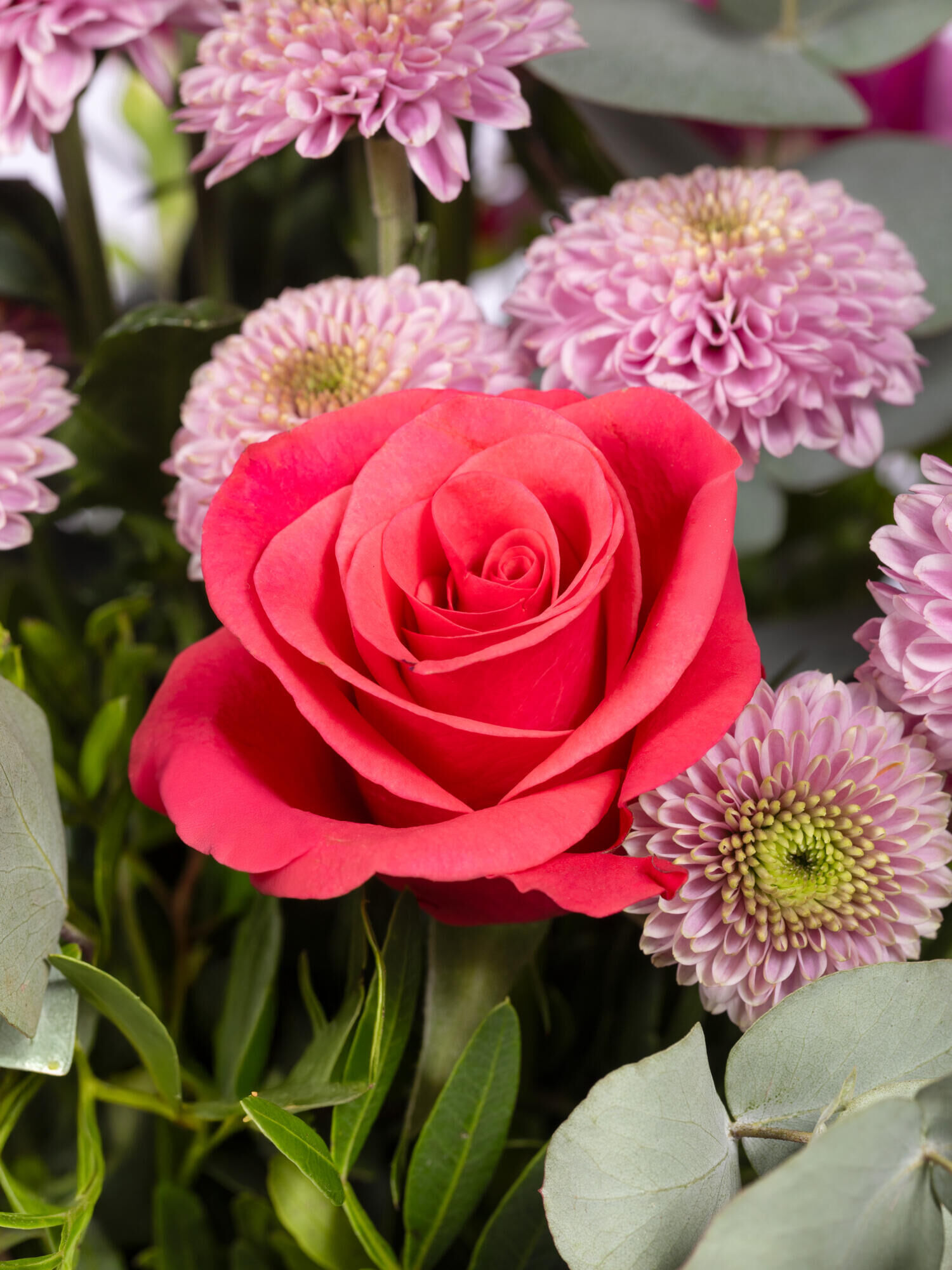 Strauß der Woche - Hauptblüte: Chrysanthemen, Nelken, Rosen - Hauptfarbe: Pink, Rosa, Violett