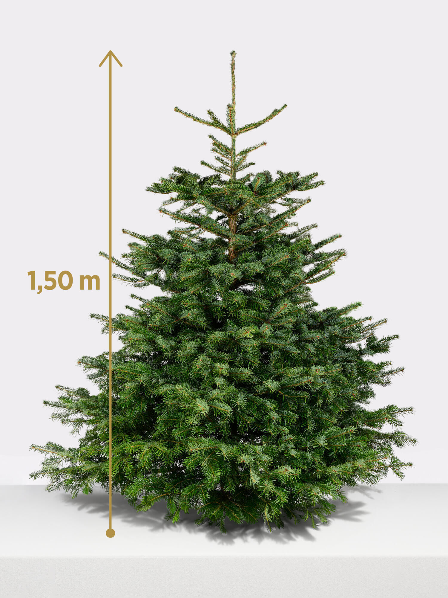 Weihnachtsbaum, 150 cm