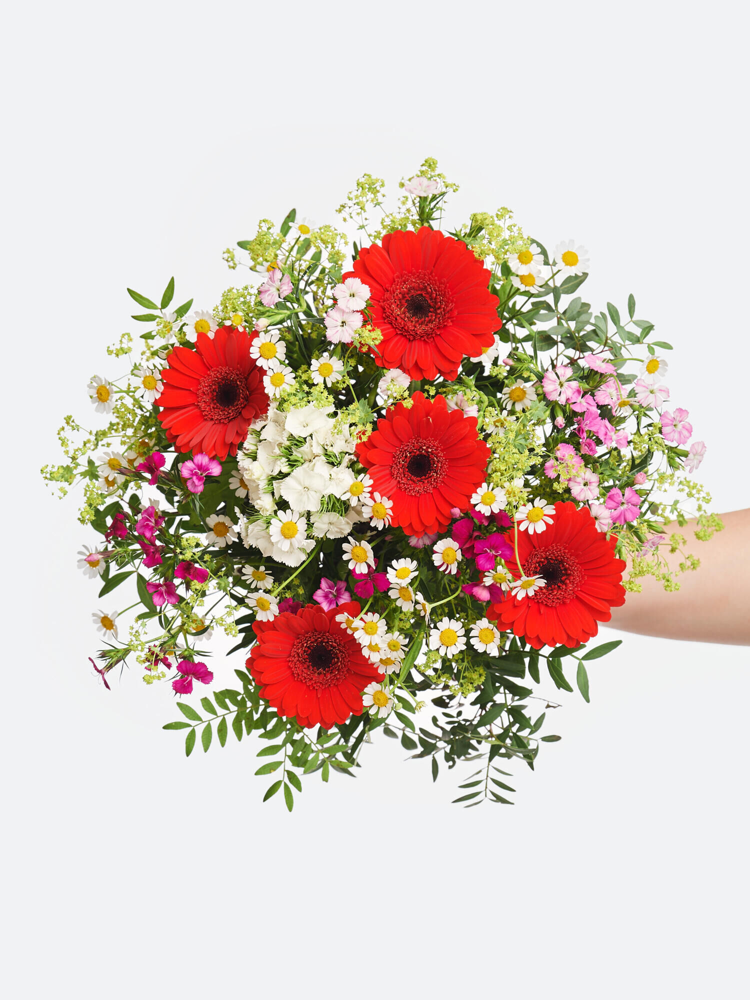 Strauß der Woche - Hauptblüte: Germini - Hauptfarbe: Rosa, Rot