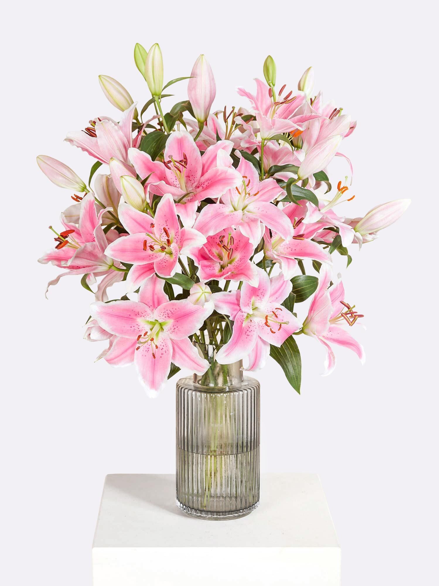 Pink Stars - Hauptblüte: Lilien - Hauptfarbe: Rosa