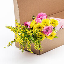 Blumen im Karton
