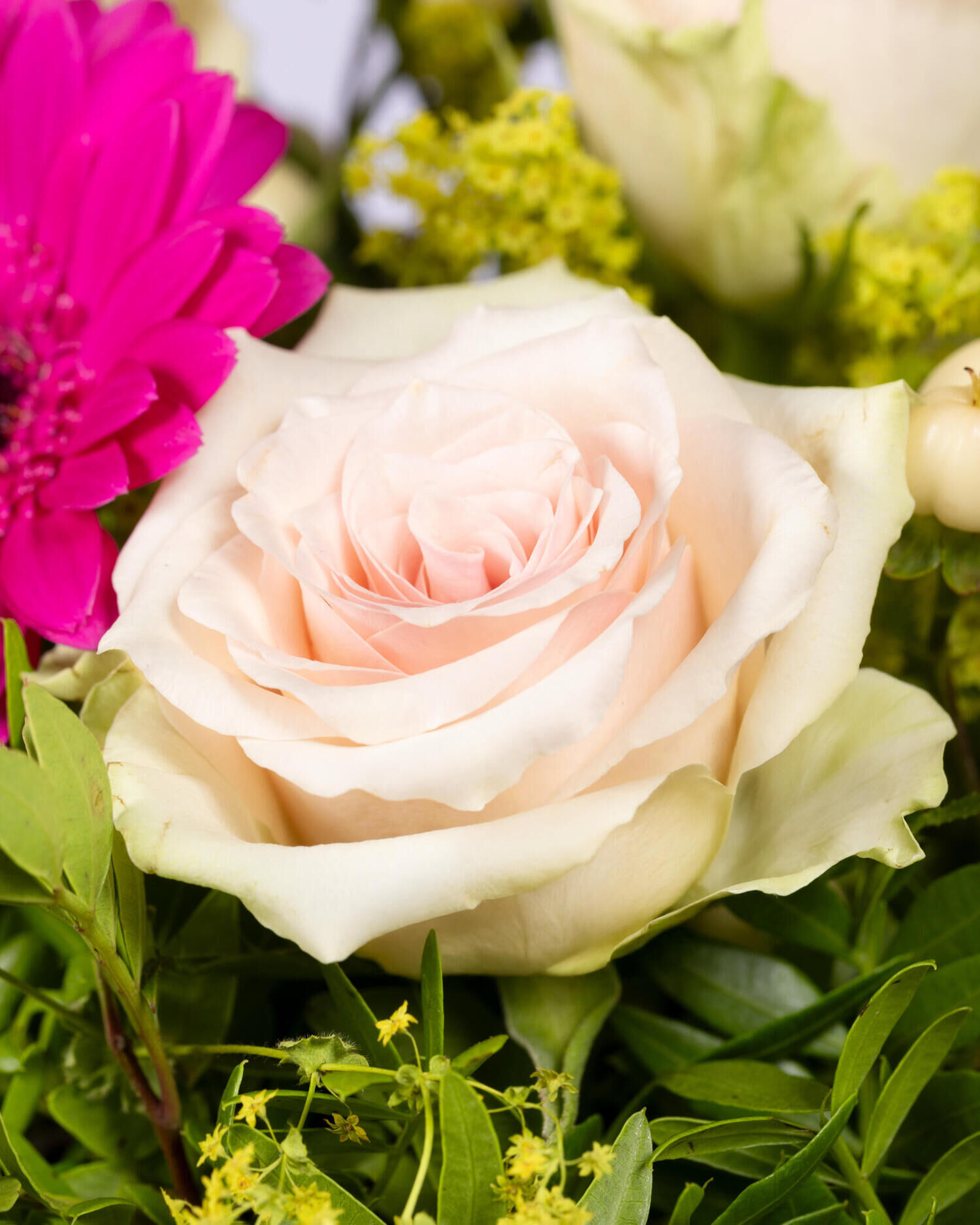 Strauß der Woche - Hauptblüte: Germini, Rosen - Hauptfarbe: Pink, Rosa