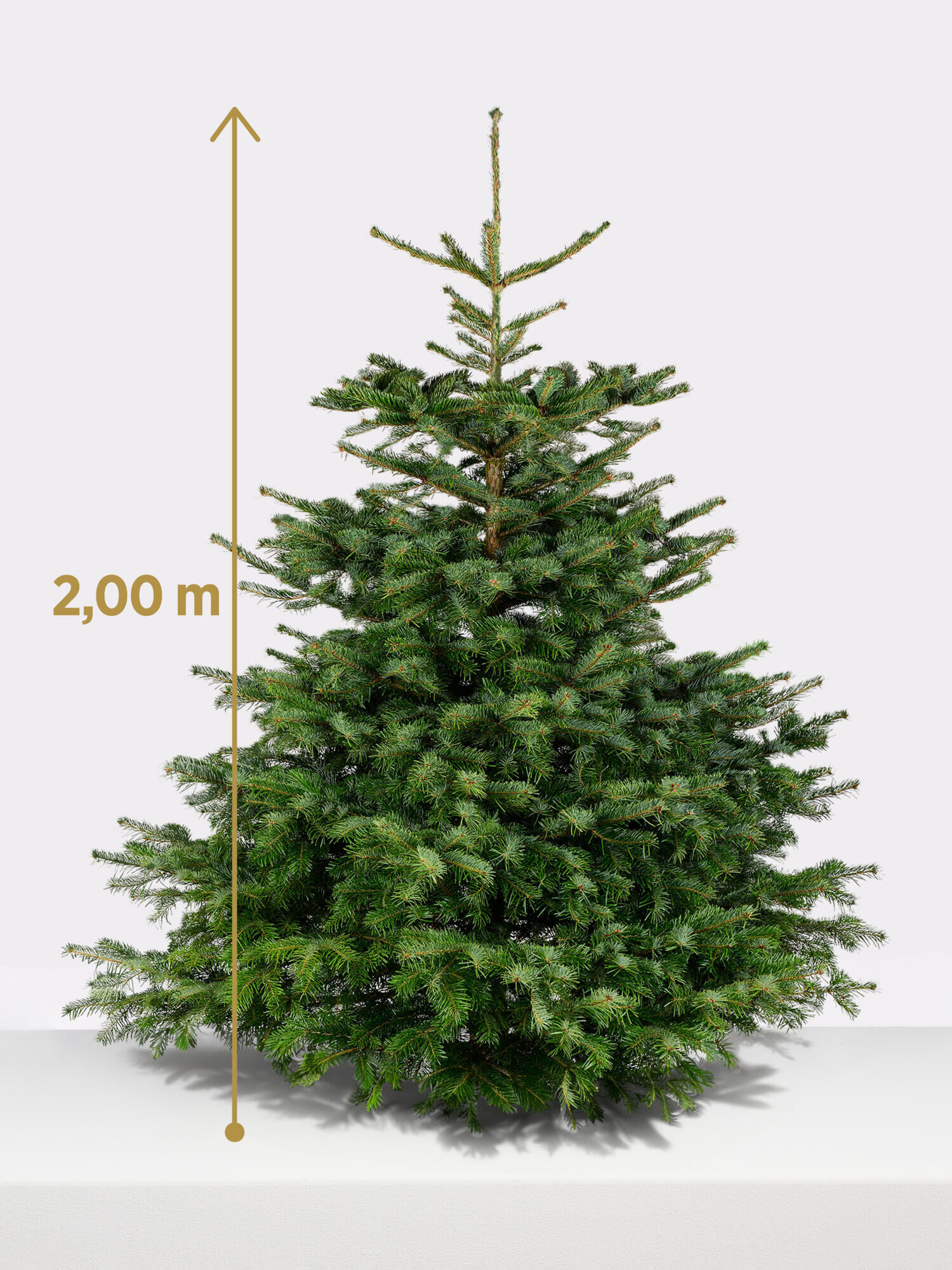 Weihnachtsbaum, 200 cm