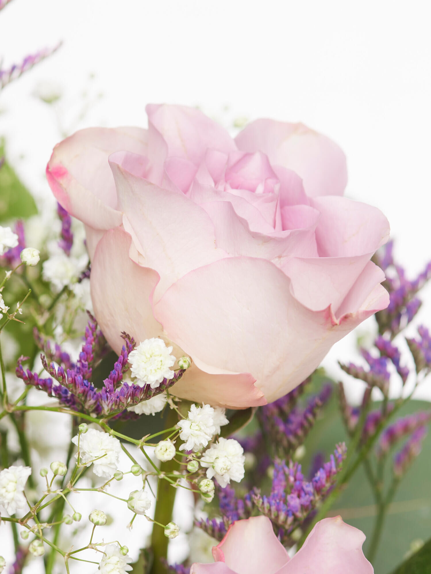 Sweet Memories - Hauptblüte: Rosen - Hauptfarbe: Grün, Rosa, Violett