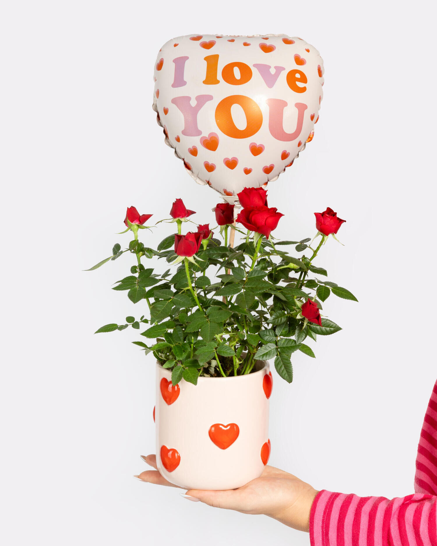 Pot Rose 'Love' mit Herzballon - Hauptblüte: Rosen