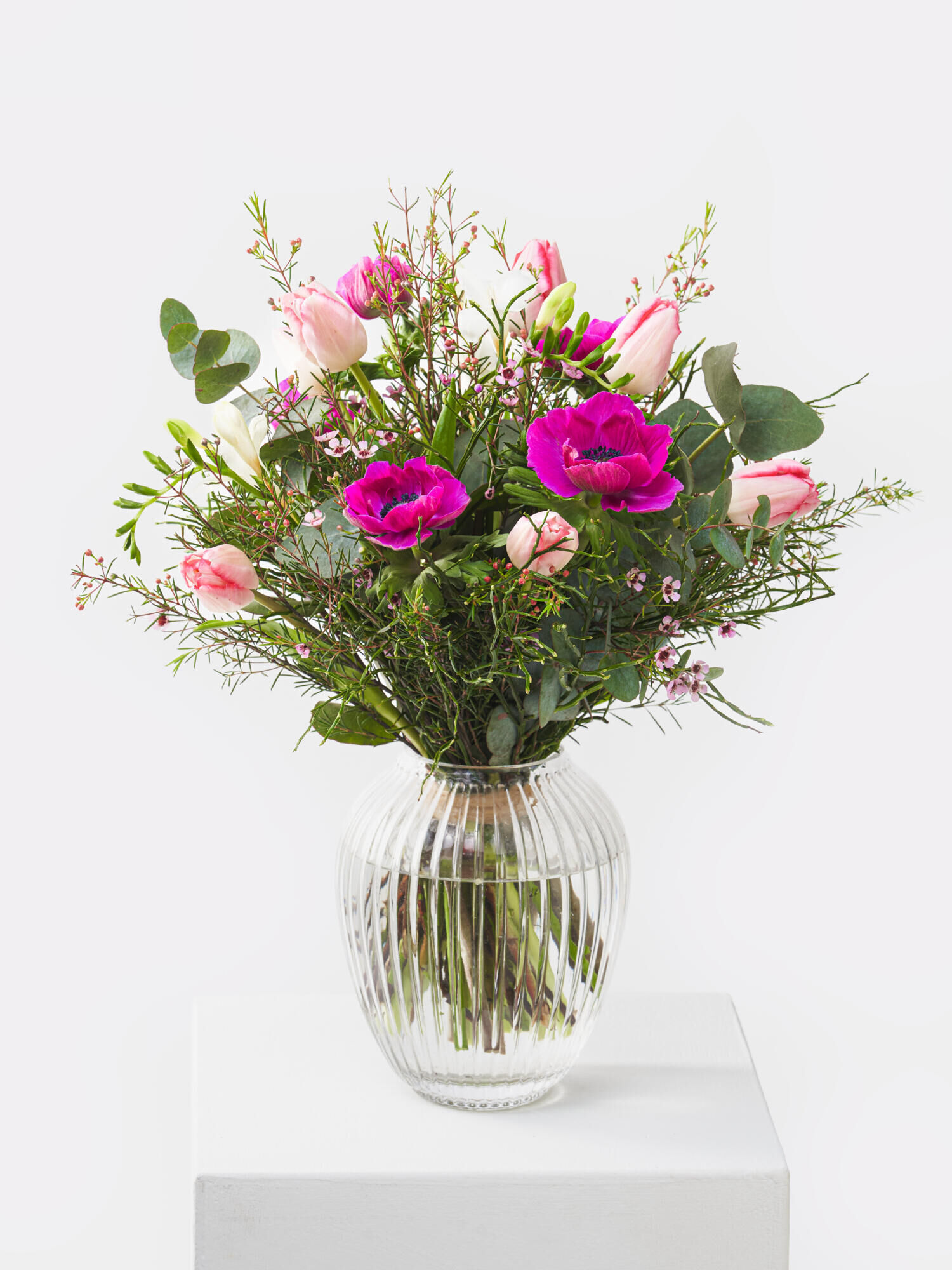 Frühjahrsbote - Hauptblüte: Freesien, Tulpen - Hauptfarbe: Pink, Rosa, Violett