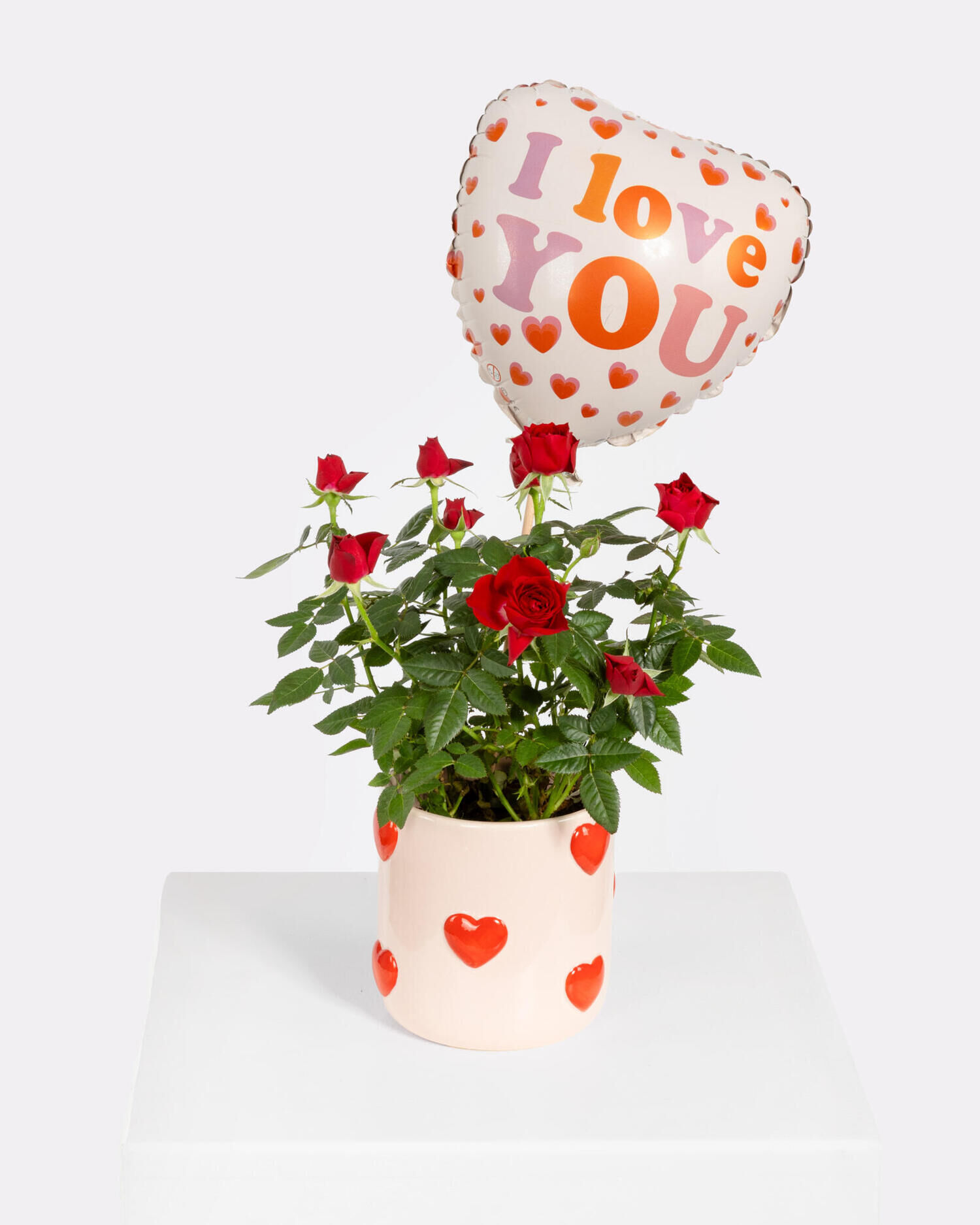 Pot Rose 'Love' mit Herzballon - Hauptblüte: Rosen